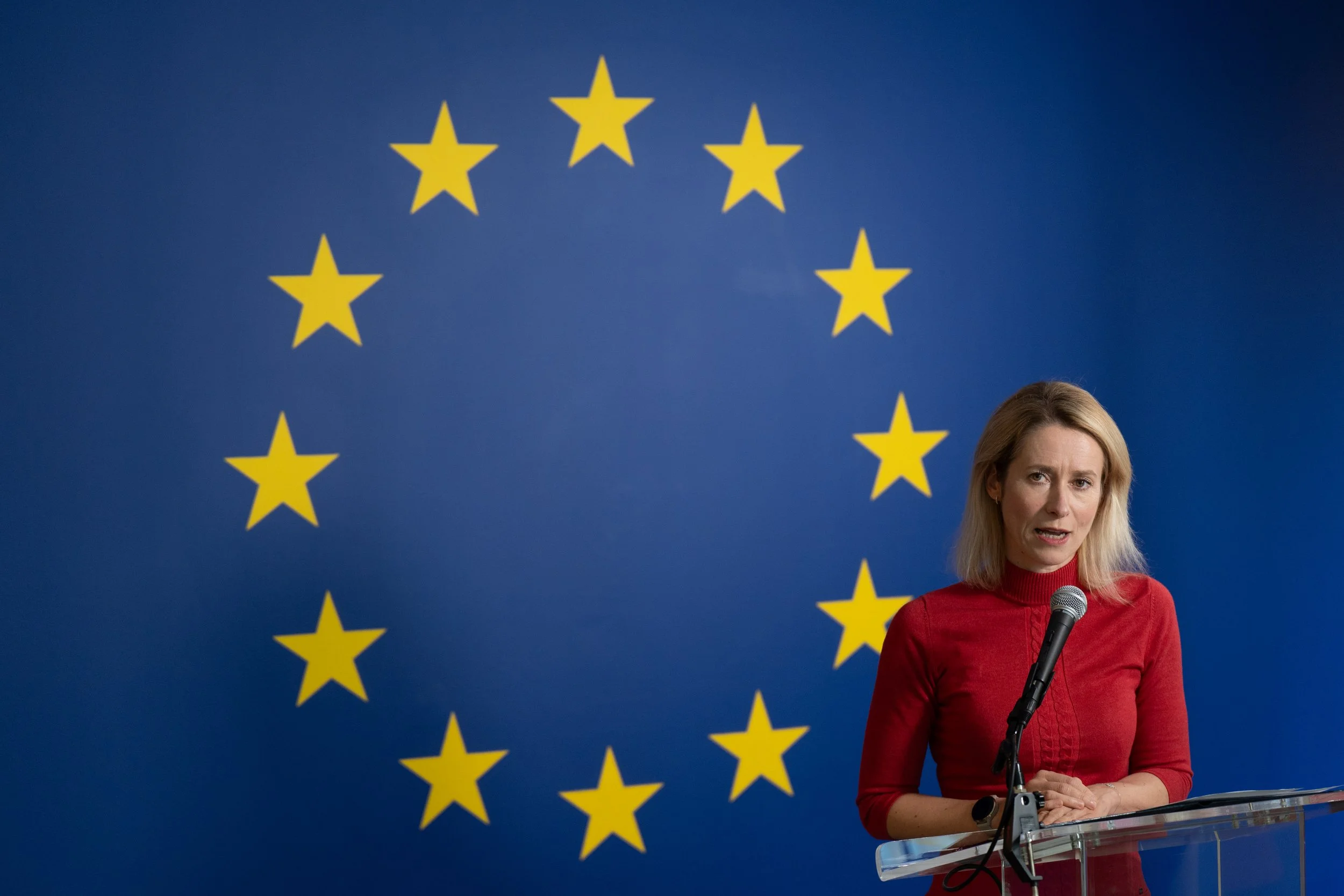 The European Council & The General Assembly