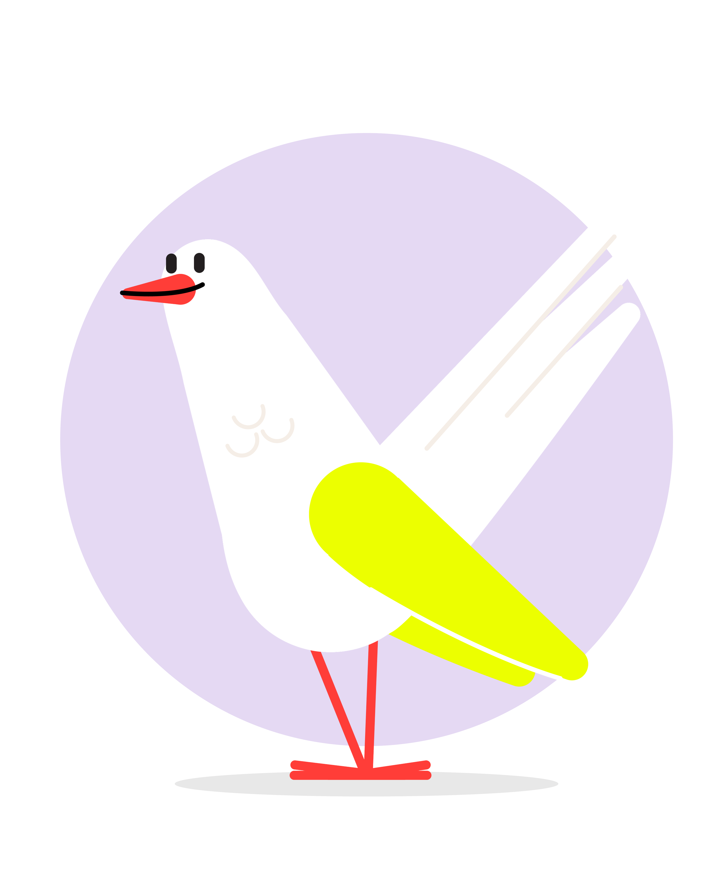 CUCKOO_birds_final-14.png