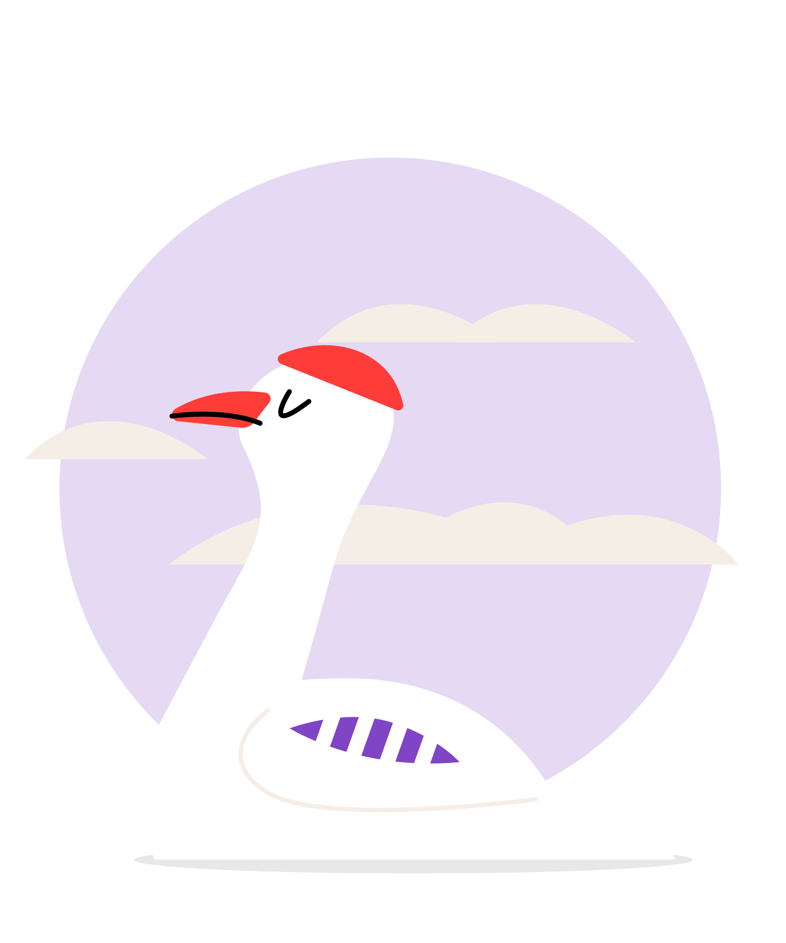 CUCKOO_birds_final-09.png