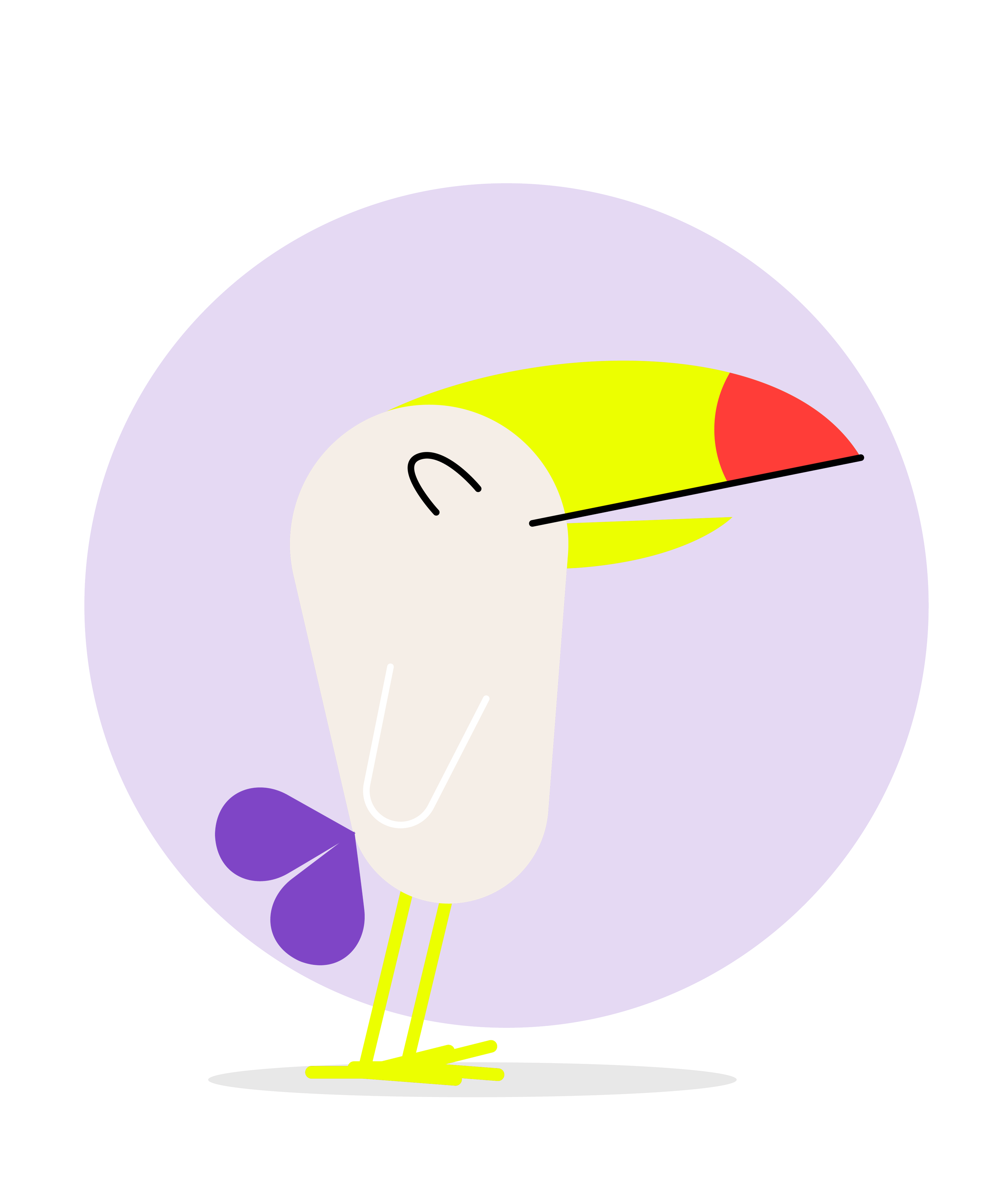 CUCKOO_birds_final-16.png