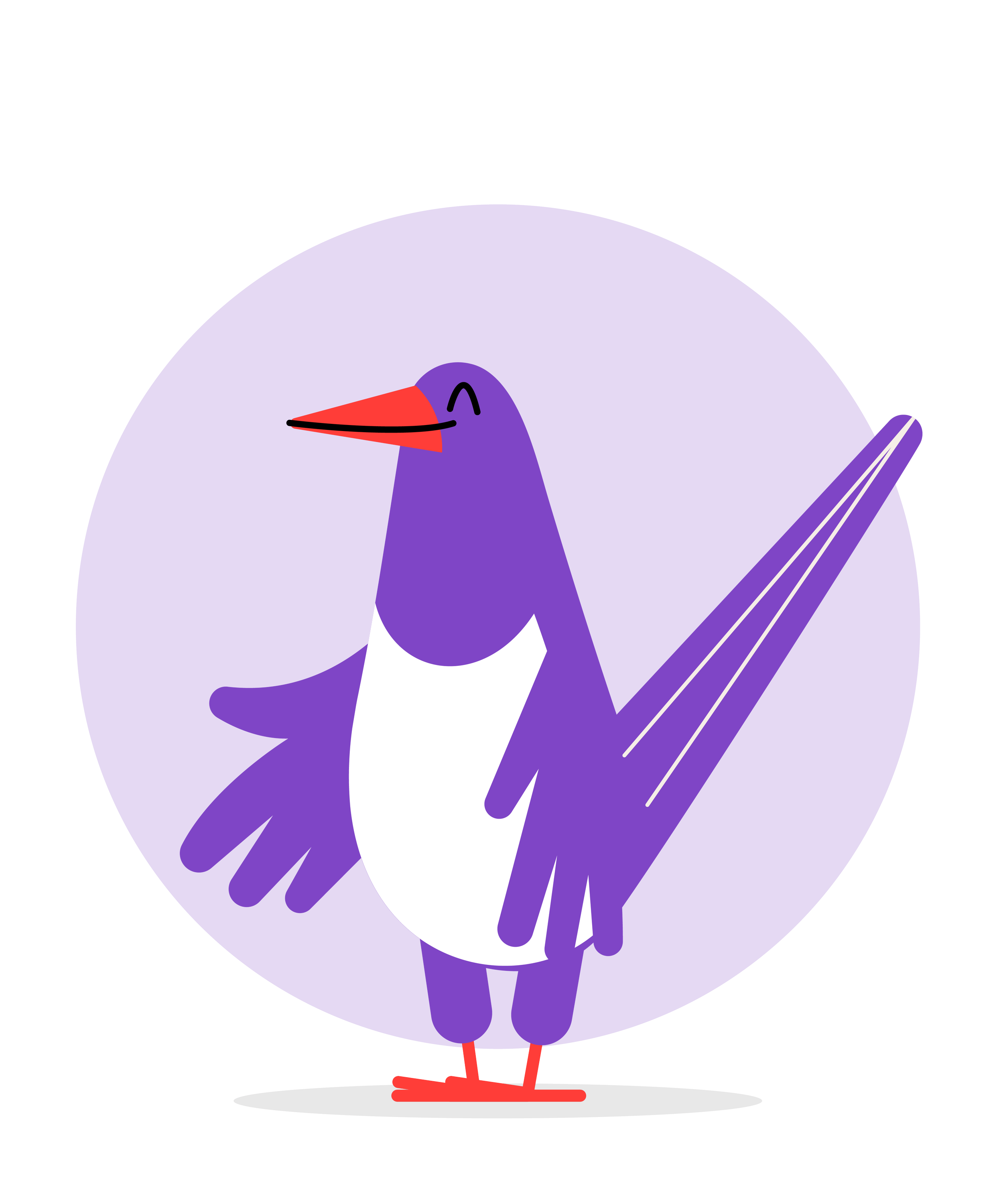 CUCKOO_birds_final-01.png