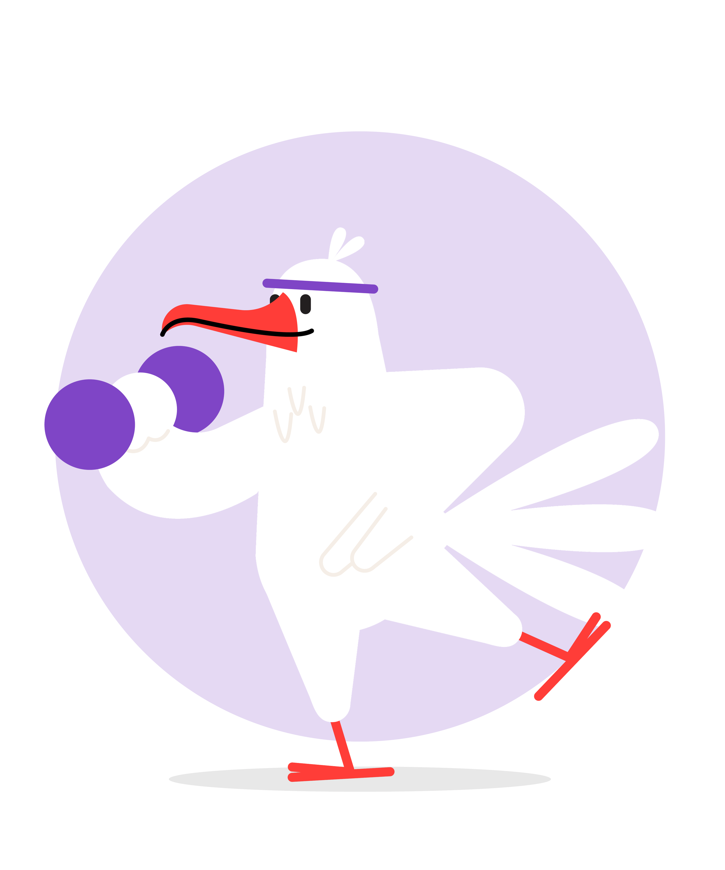 CUCKOO_birds_final-05.png
