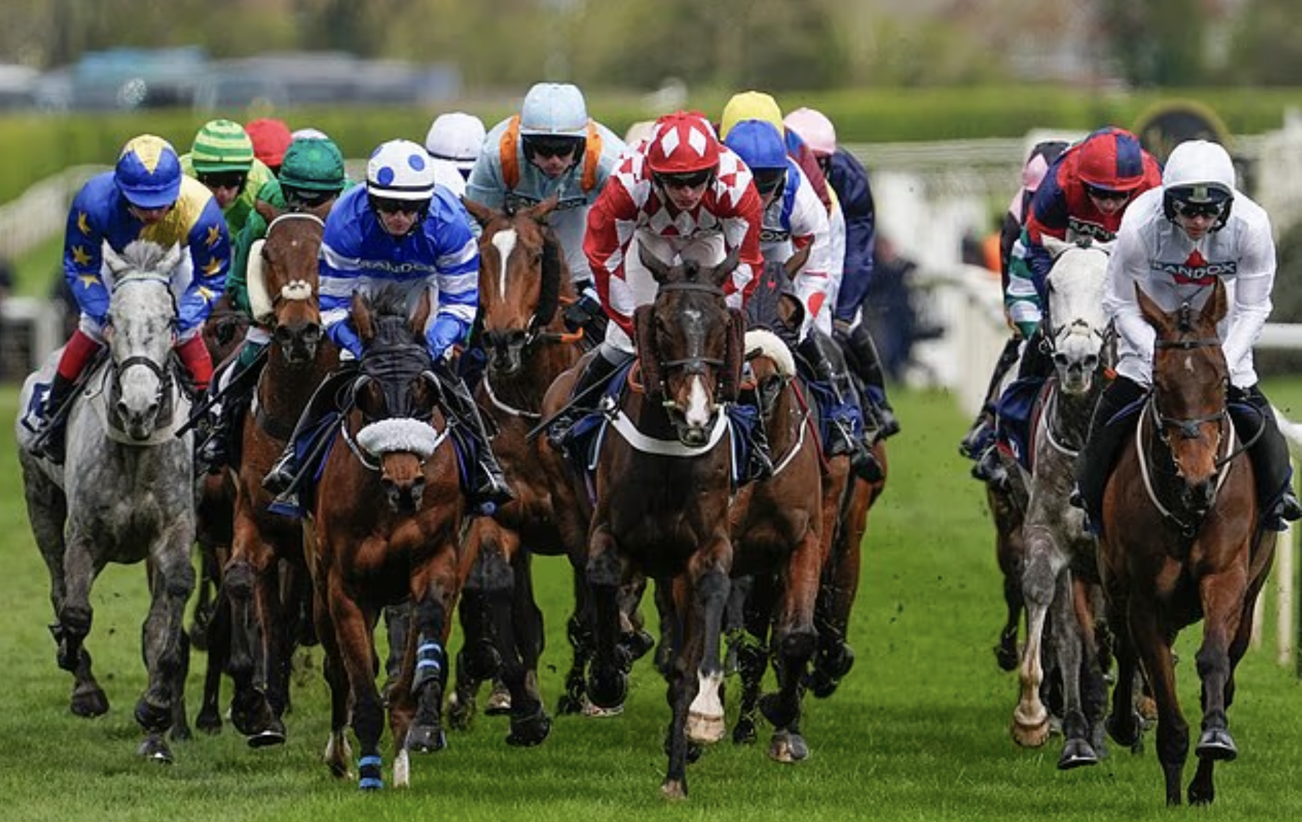 Daily Mail: Second horse death in two days at Aintree raises animal welfare law questions