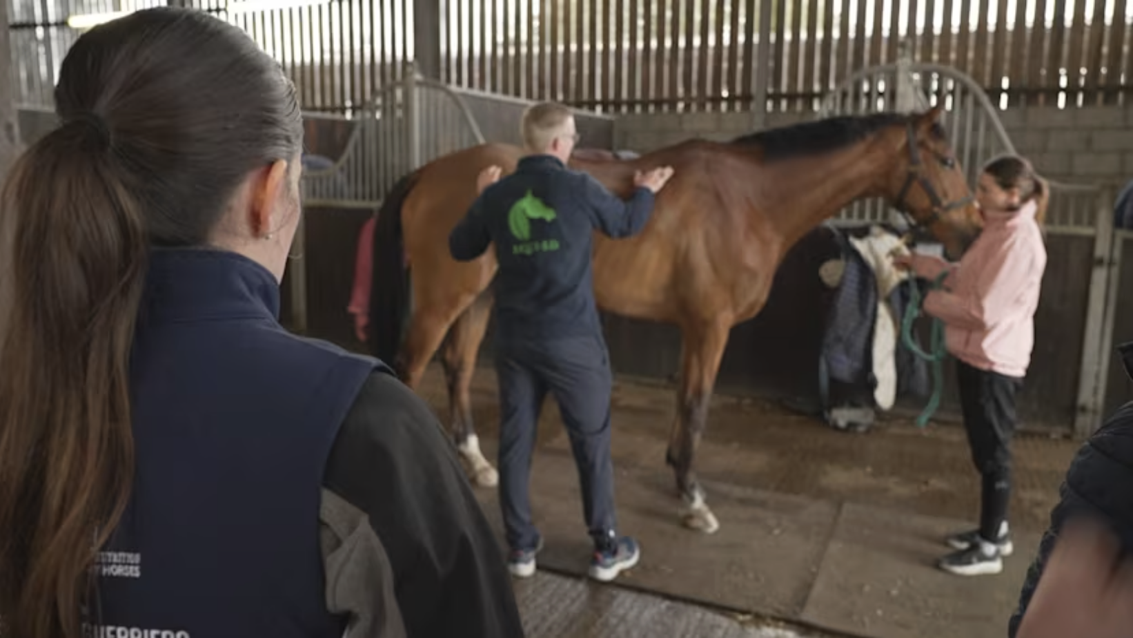 ITV News: Welfare training "not enough" as Grand National Festival opens with horse death