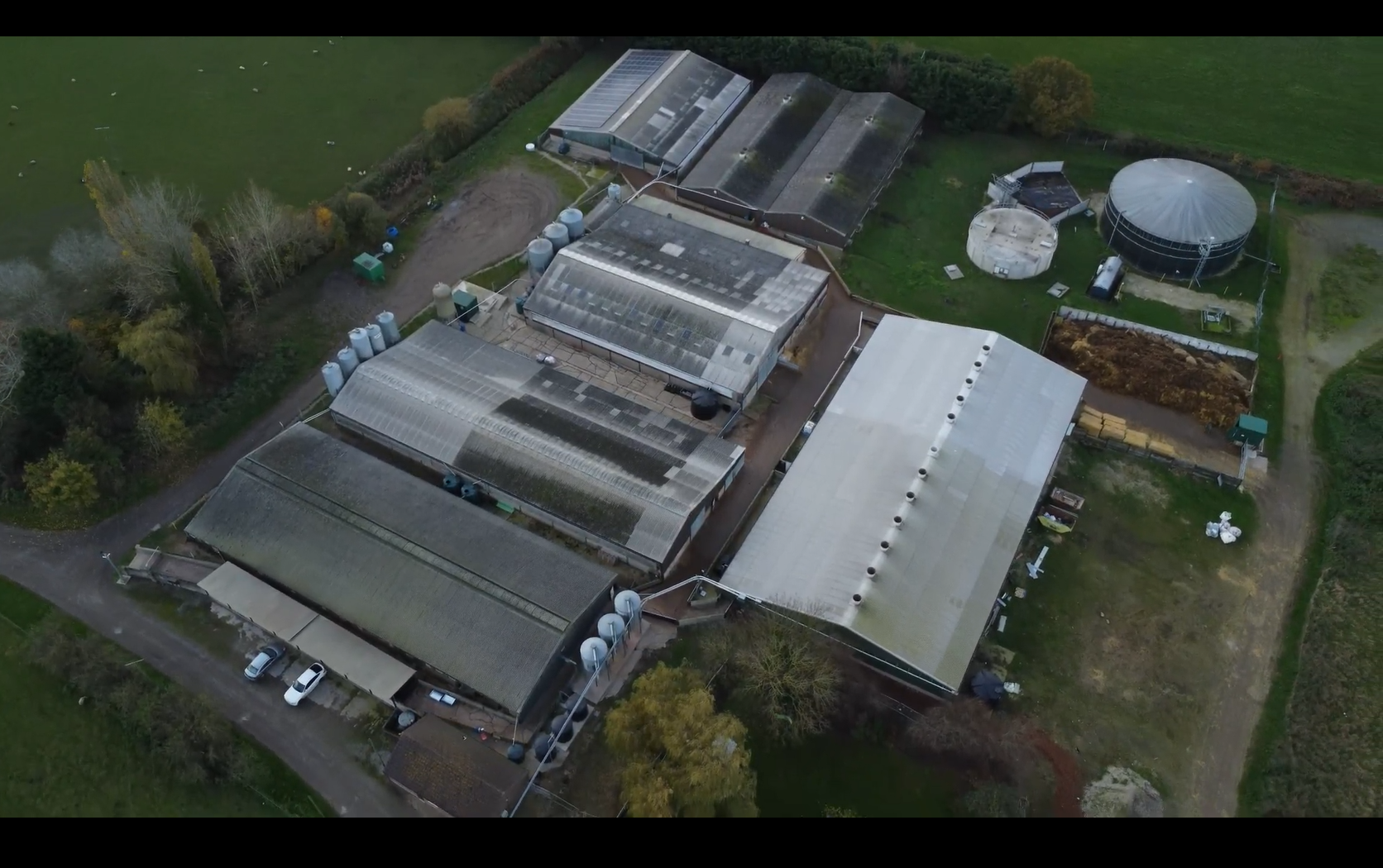 Cranswick Subsidiary Summoned to Court Over Animal Cruelty Allegations at Lincolnshire Farm