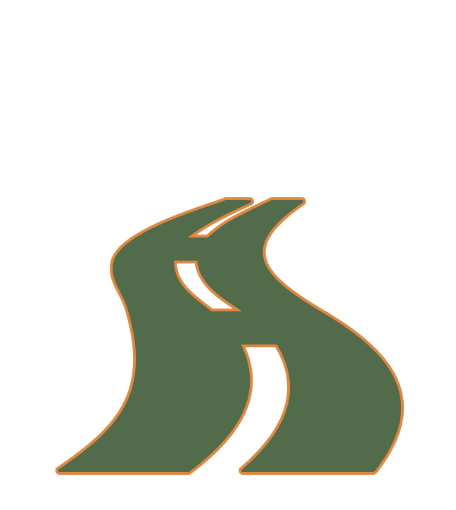 Icon representing integrative coaching focused on nervous system regulation, clarity, and aligned decision-making