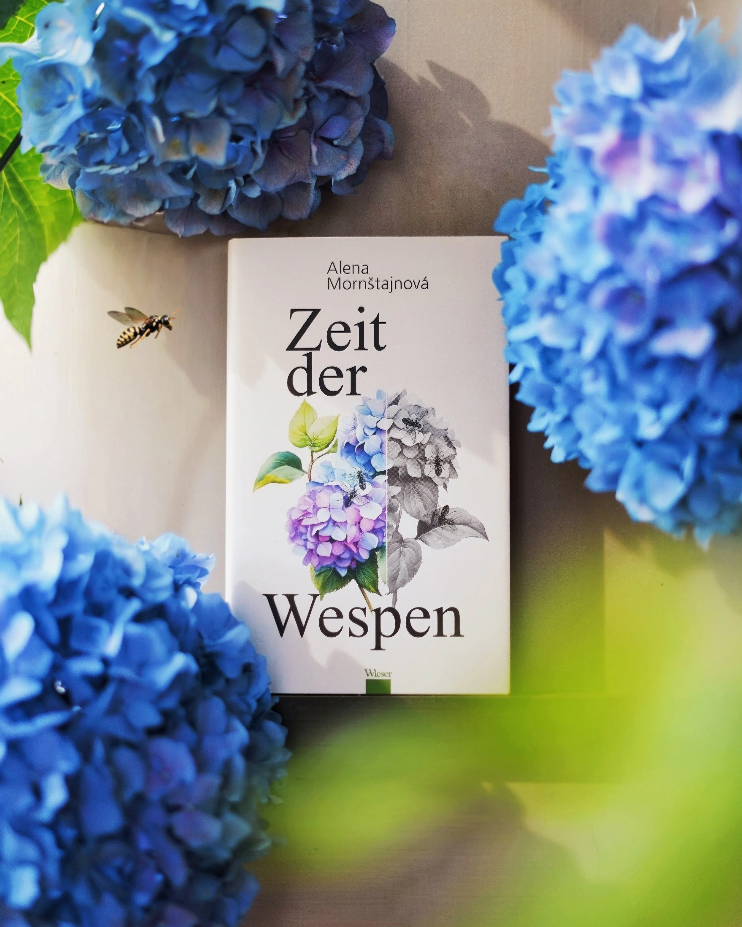 Zeit der Wespen