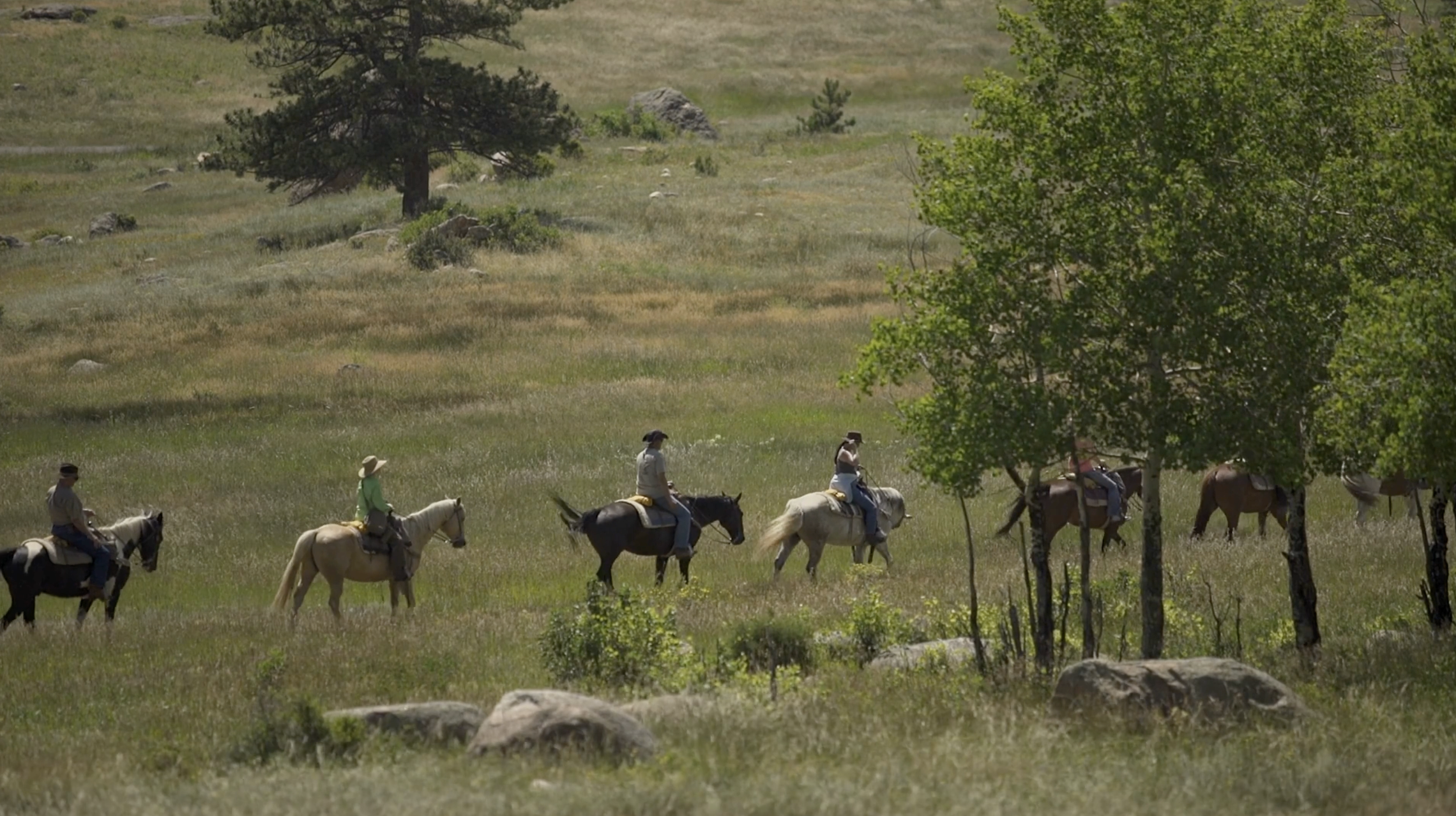 Screenshot 2026-01-15 at 10.25.19 AM.png