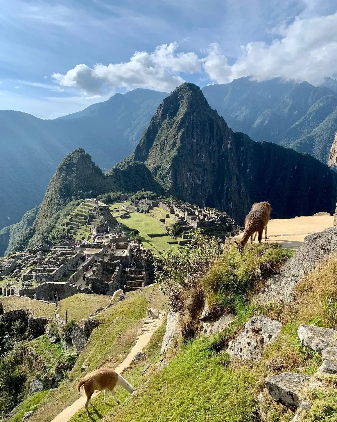 Ancient Inca city Machu Picchu nestled high in the mountains, with two llamas grazing in the foreground and lush green terraces leading up to the stone ruins, under a partly cloudy sky.