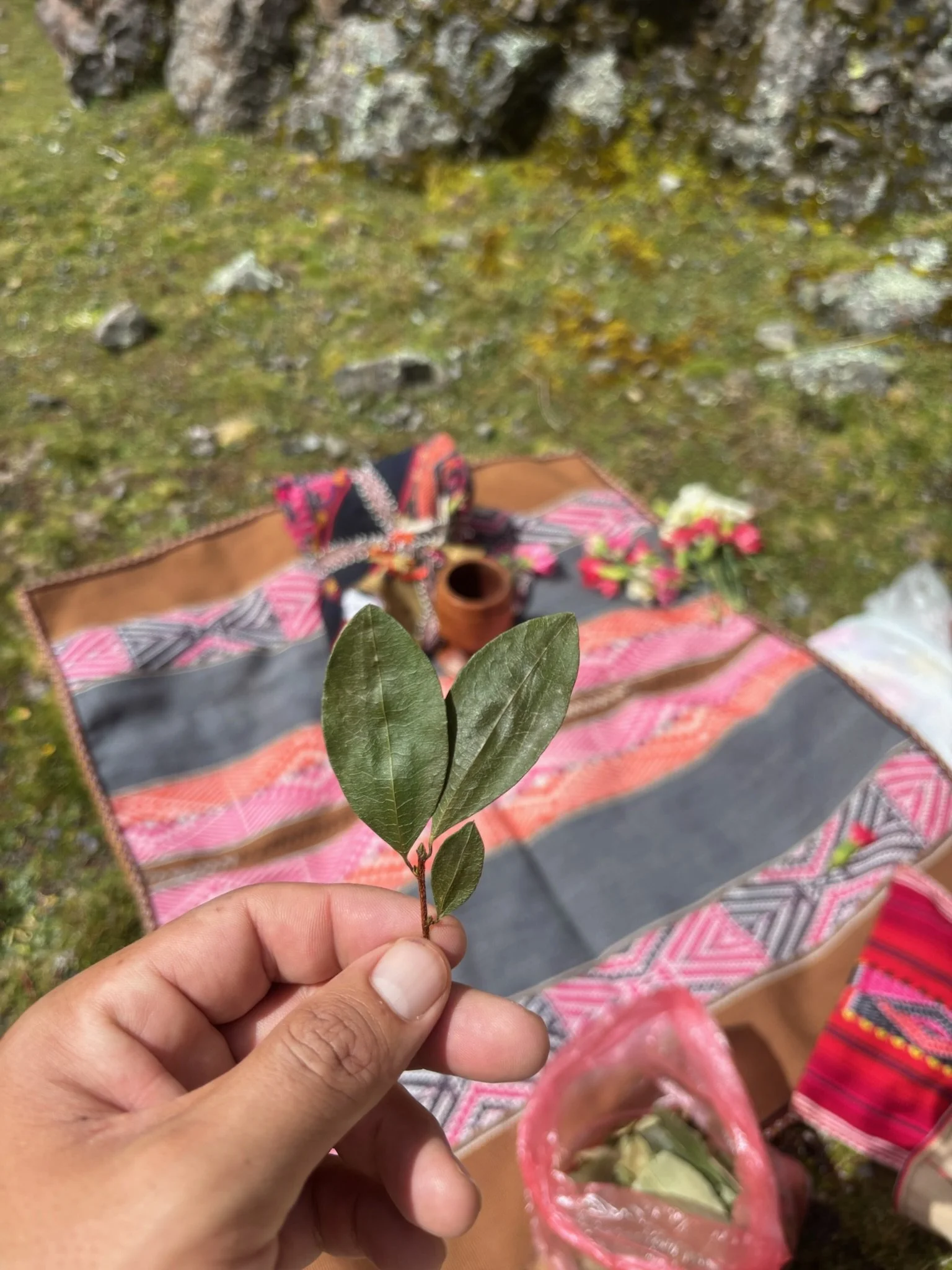 Hand holding a small branch with green leaves in front of a colorful woven blanket on the ground, with flowers and a brown clay cup; outdoor setting with rocks and mossy ground.