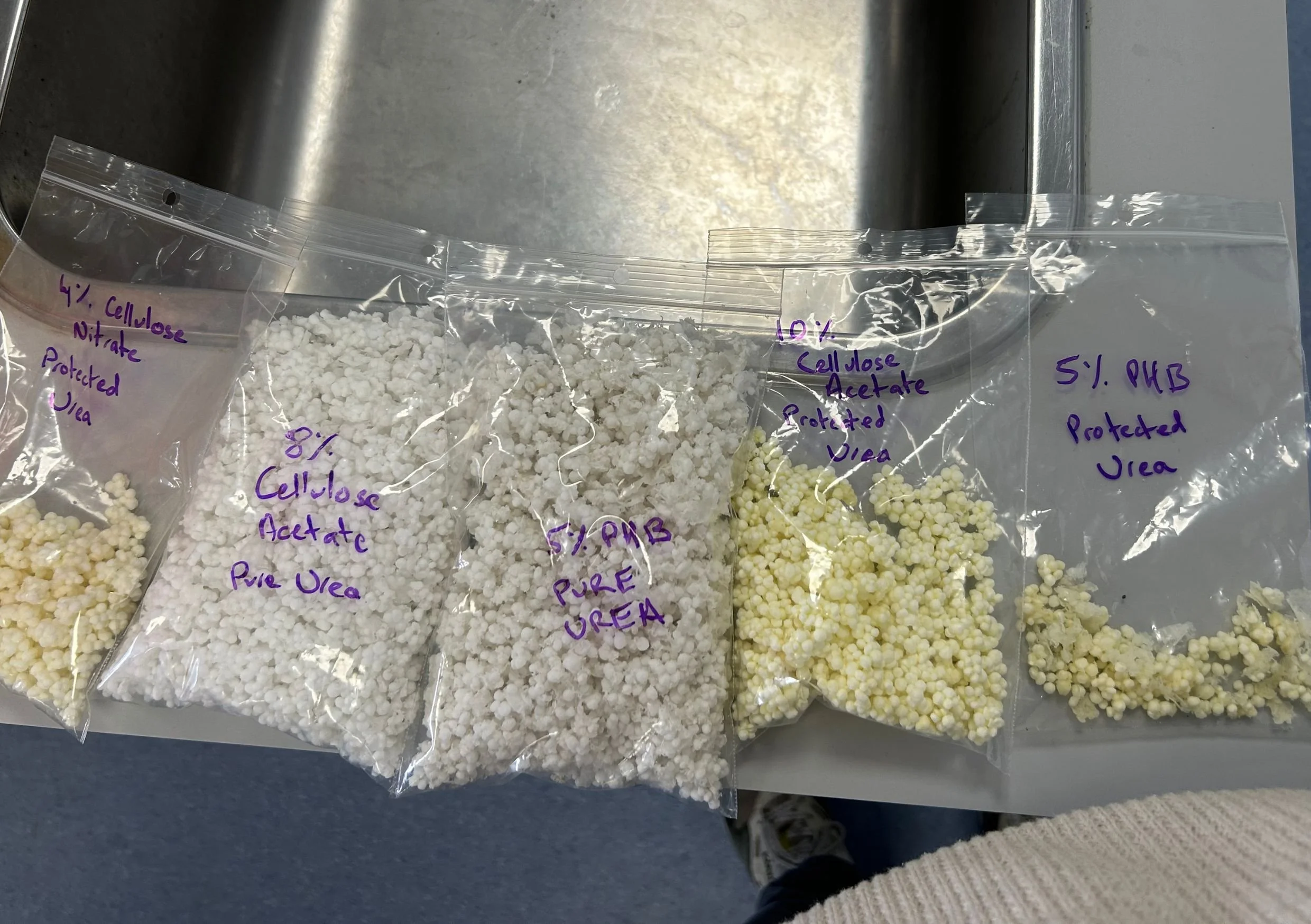 Untitled design (11).jpg