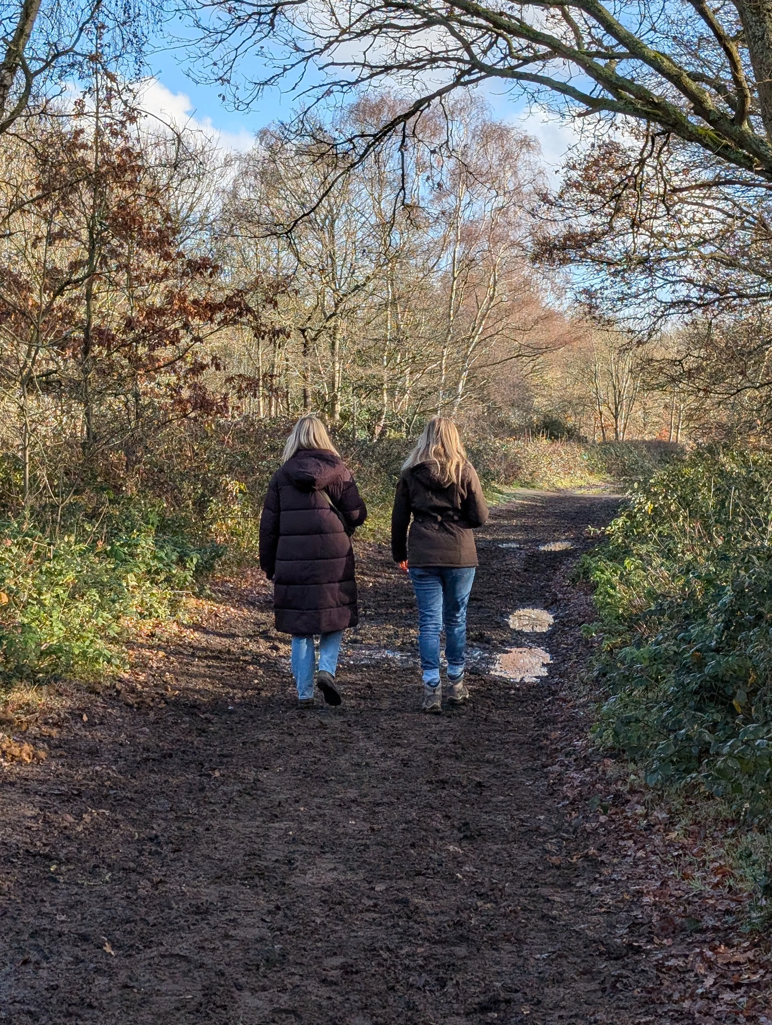 A walk and talk counselling session on a muddy path in a wood during winter.