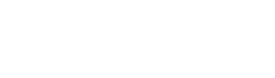 Horizium is a Shopify Partner