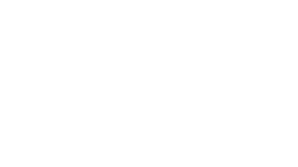 Tribe Sweat Logo