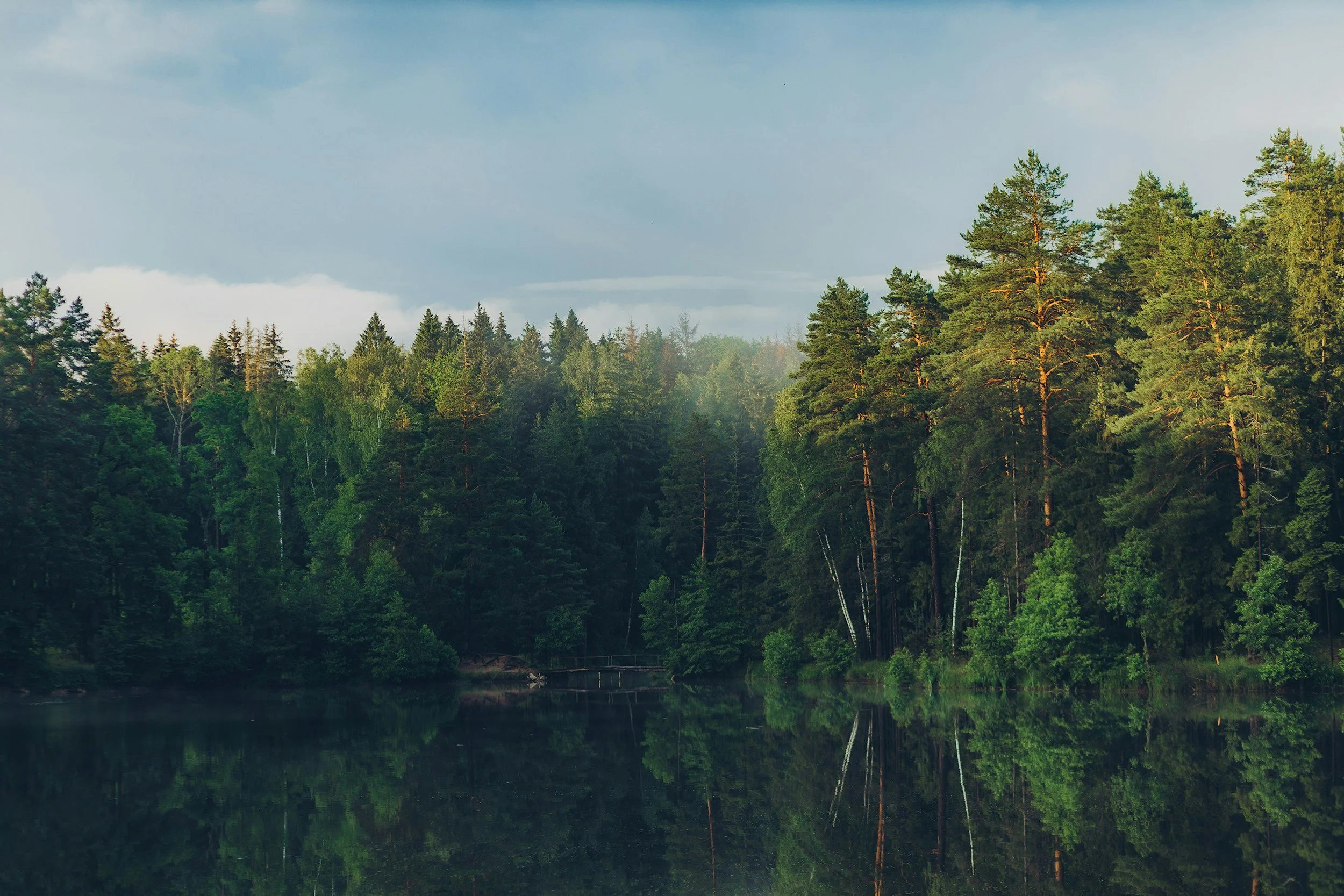 A serene lake surrounded by tall green trees, with a cloudy sky overhead and the trees and sky reflected in the water.