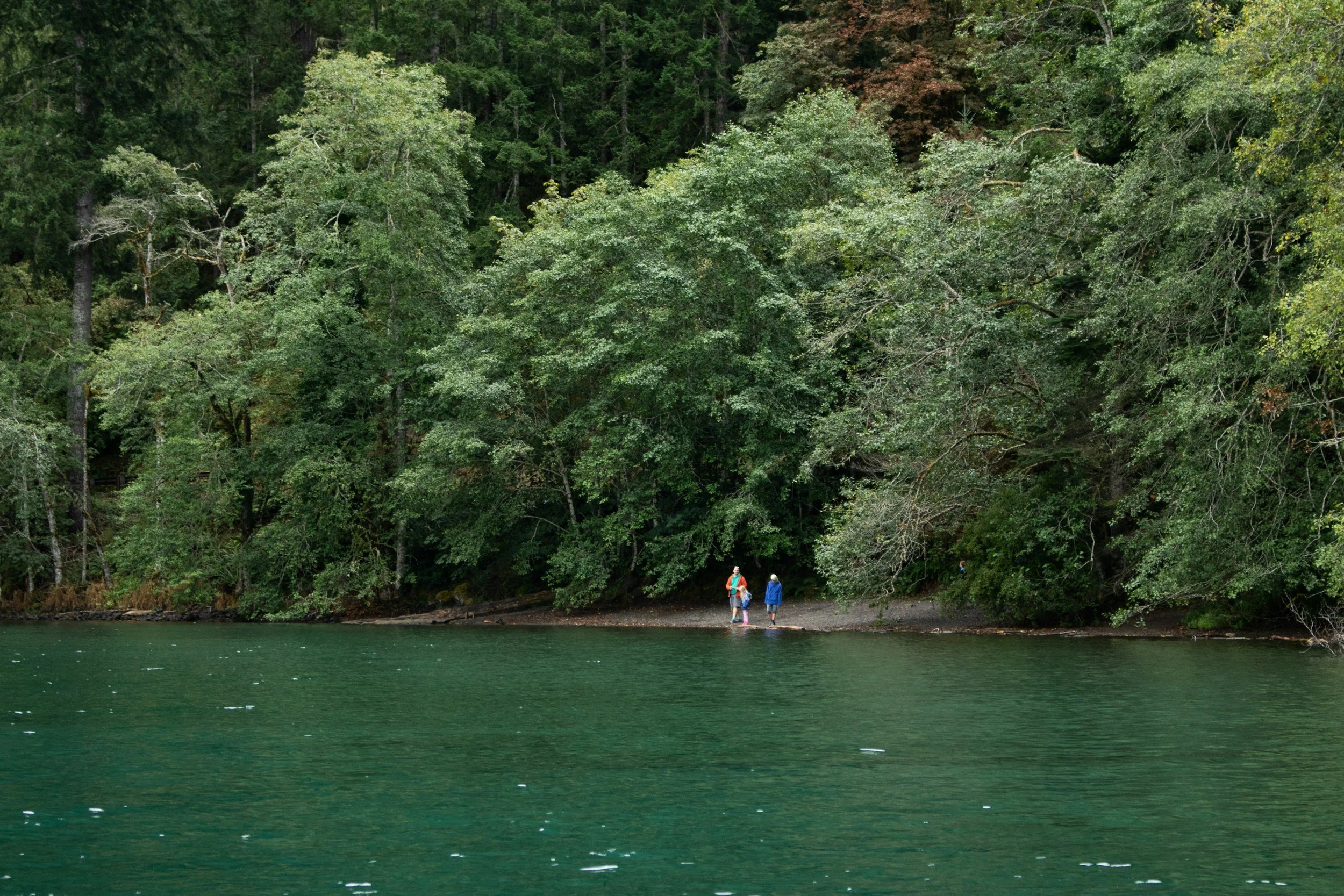 Three people with backpacks walking along a wooded lakeshore with dense green trees.
