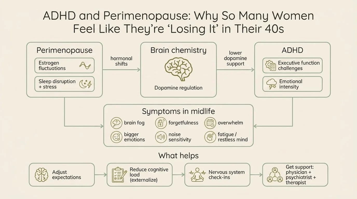 Chart depicting connections of perimenopause, brain chemistry changes, and ADHD.