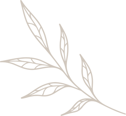 Line drawing of a leafy branch with elongated leaves on a black background.