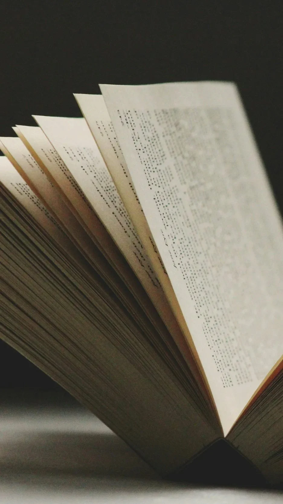 Nahaufnahme eines offen liegenden Buches mit sichtbarer Textpassage in Brailleschrift auf den Seiten.