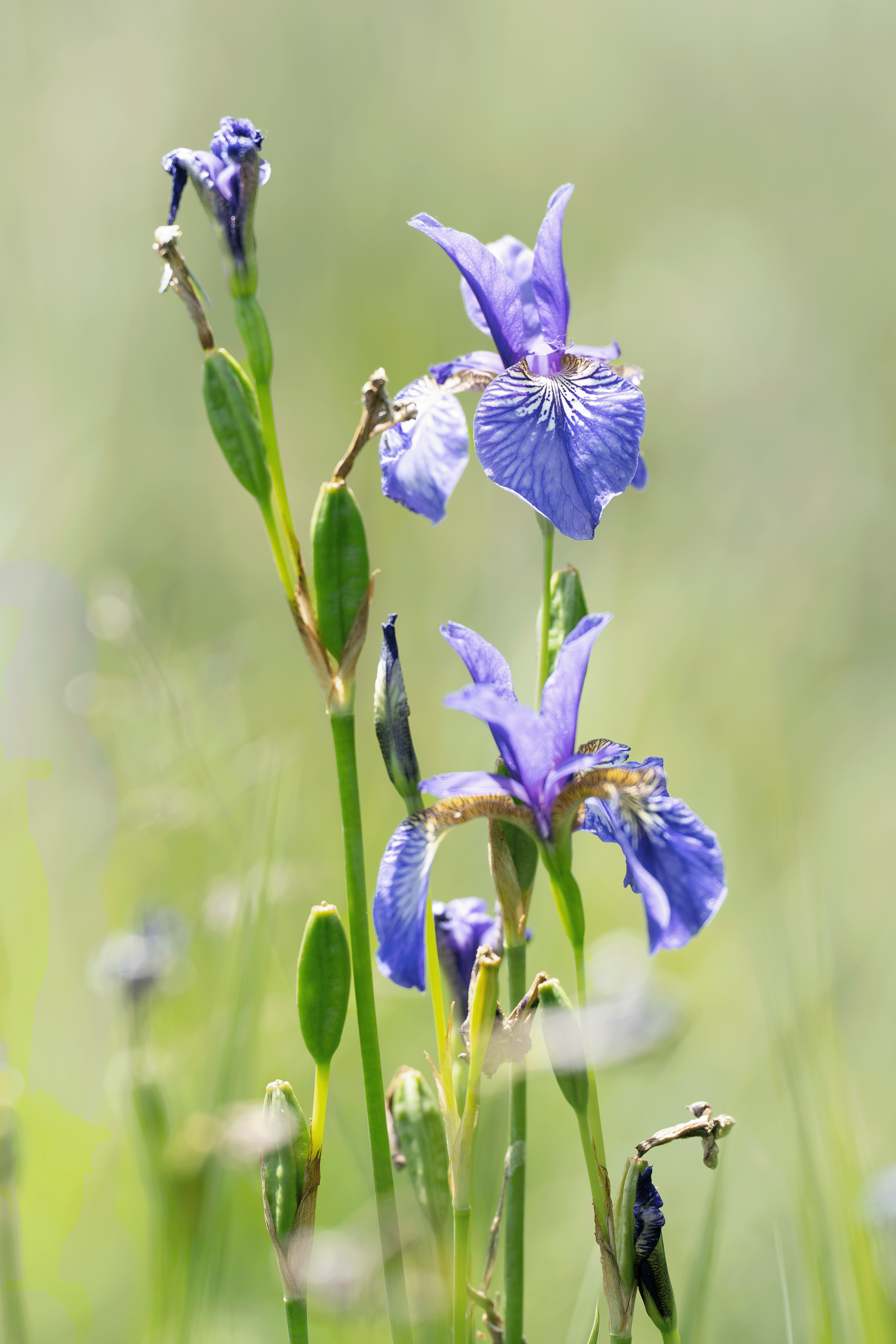 _DSC5964_b.png