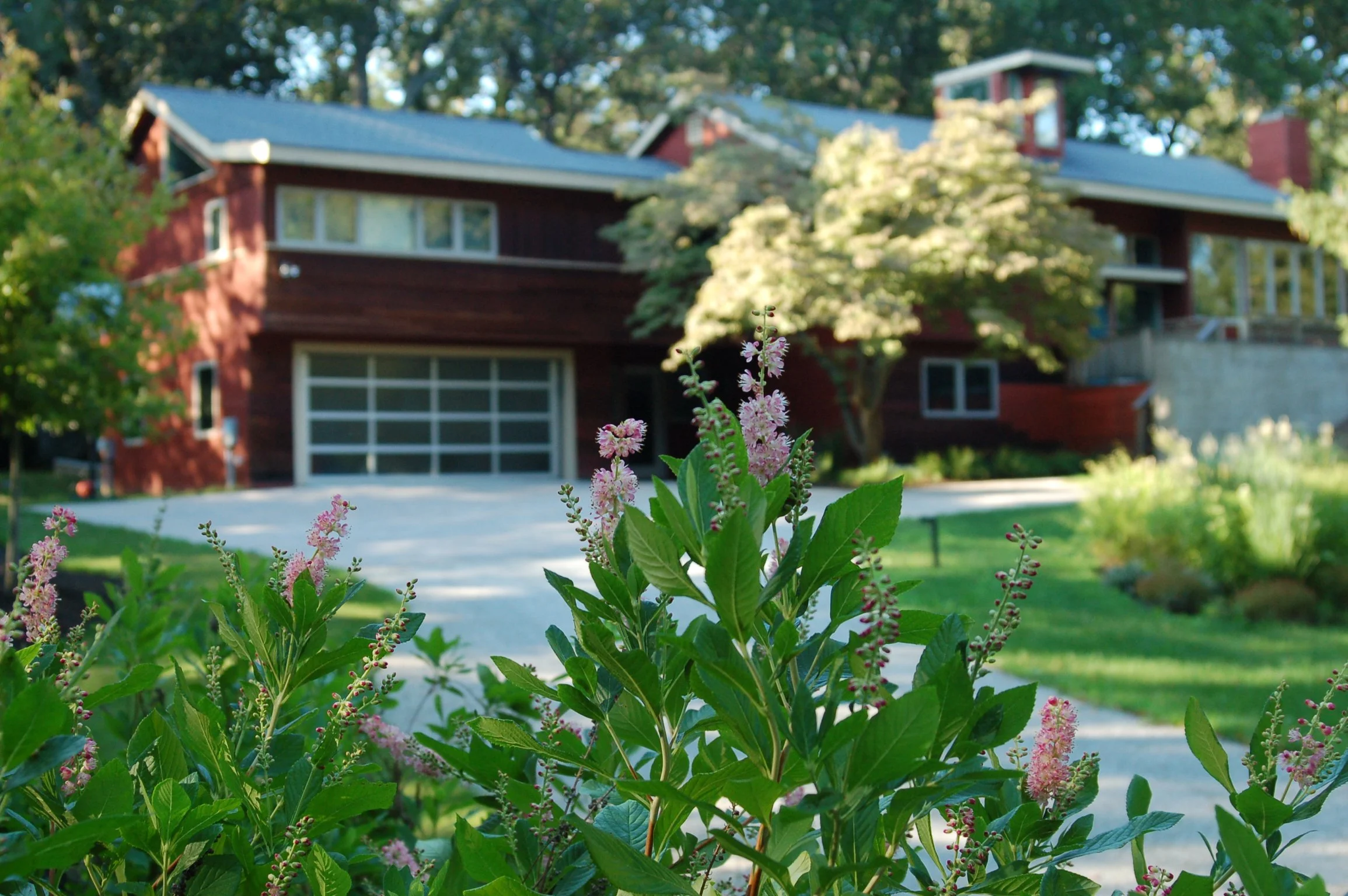 Foreground in focus.jpg