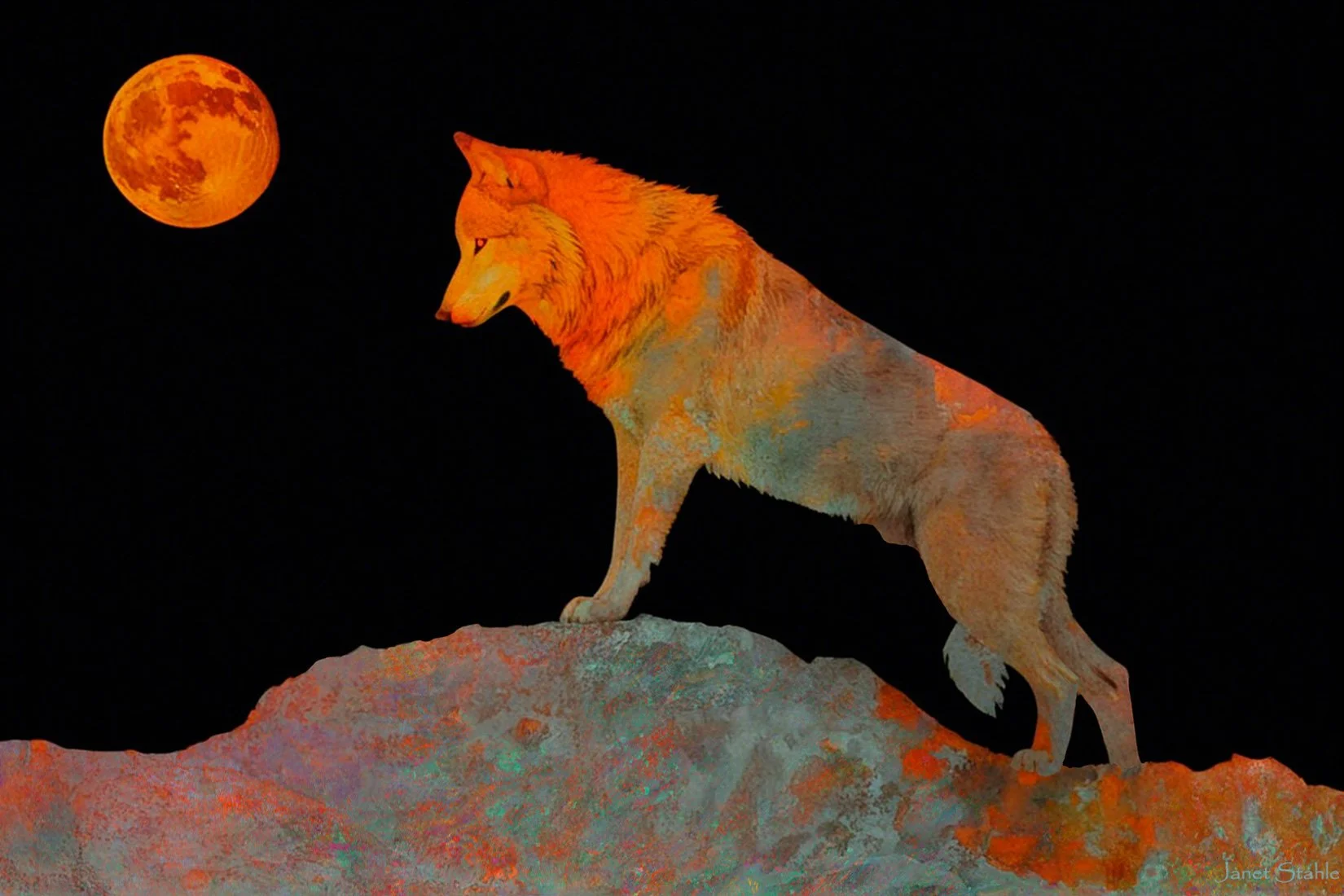 Wolf and Harvest Moon