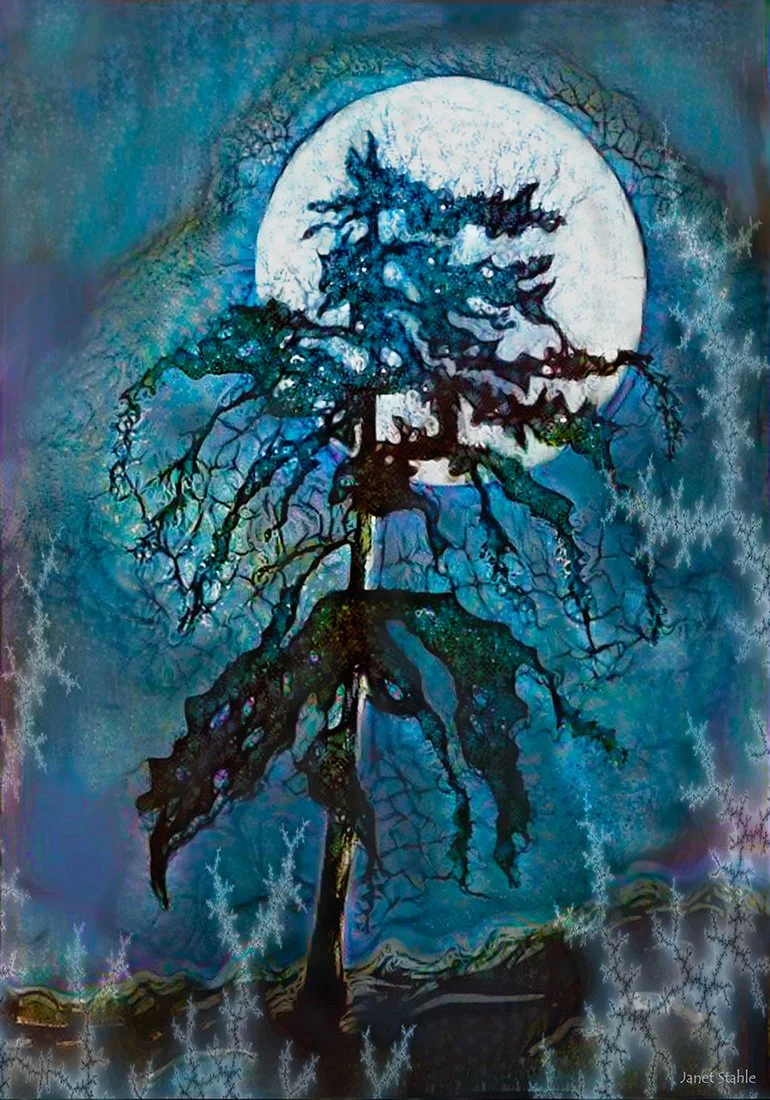 Jack Pine