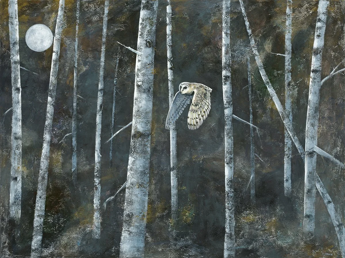 Owl in Birches - Original sold, prints available