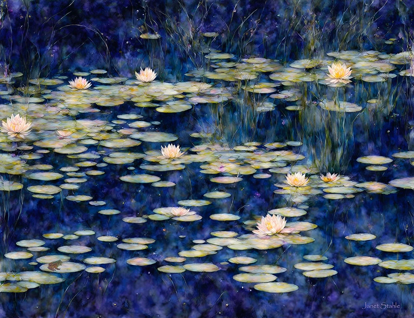 Water Lilies