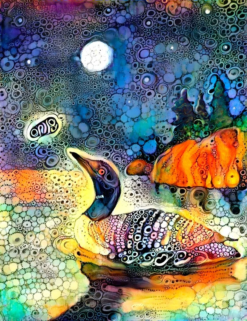Loon's Necklace