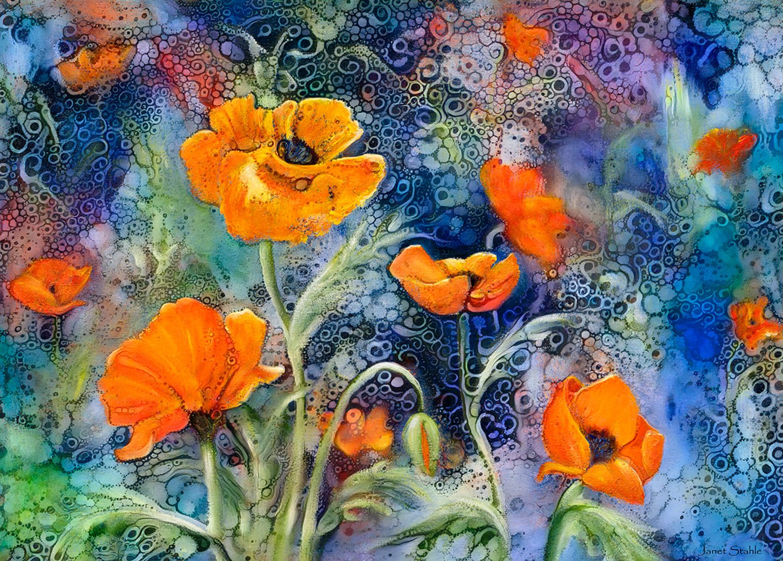 Poppies 1