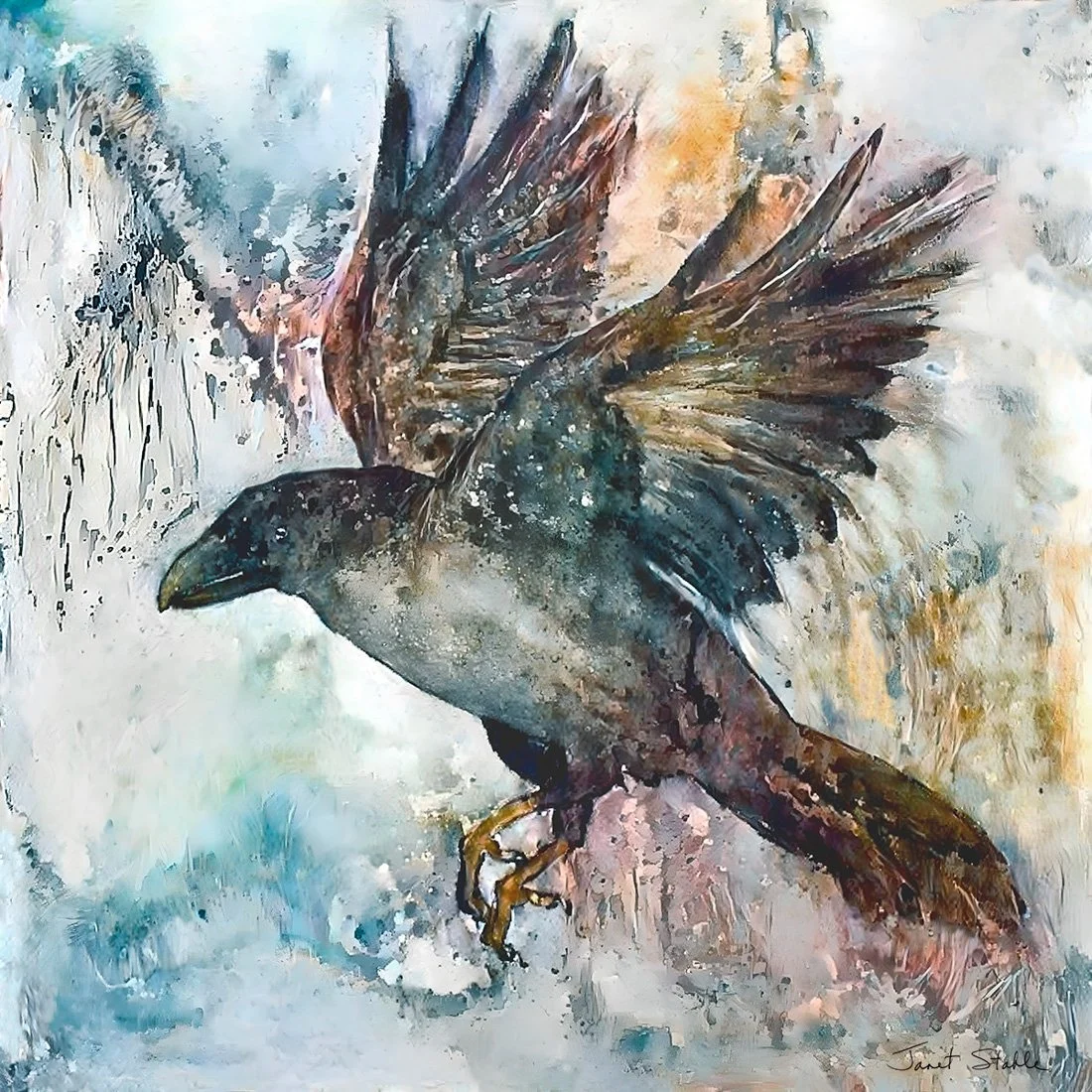 Raven