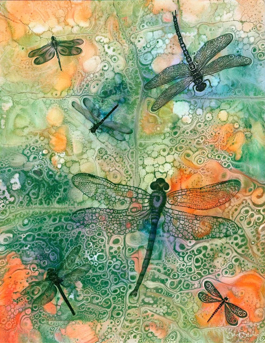 Colorful abstract background with detailed black line drawings of various dragonflies and a butterfly.
