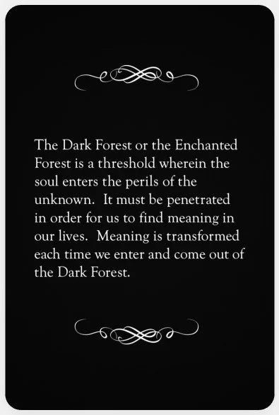 05b-Out of the Dark Forest-Back.jpg