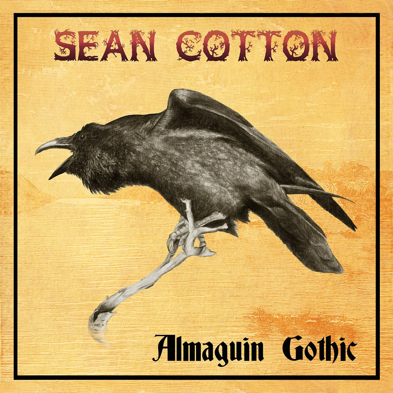  Almaguin Gothic:  Sean Cotton