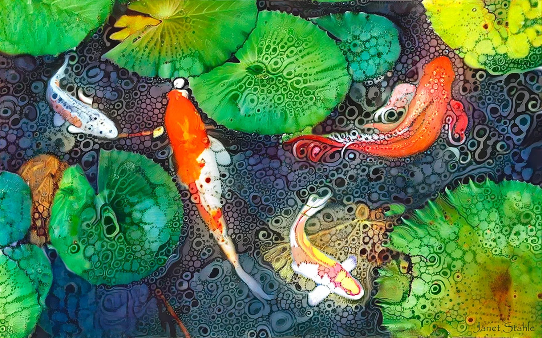 Koi