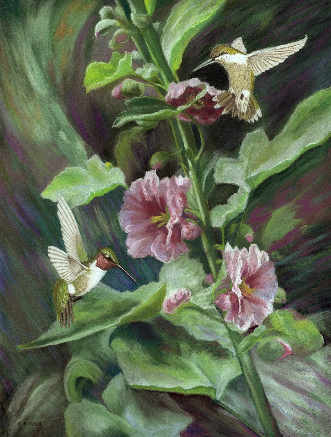 Hollyhocks & Hummingbirds - Original sold, prints available