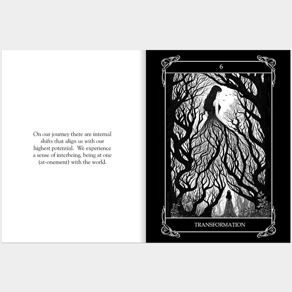6-Transformation-sq.jpg