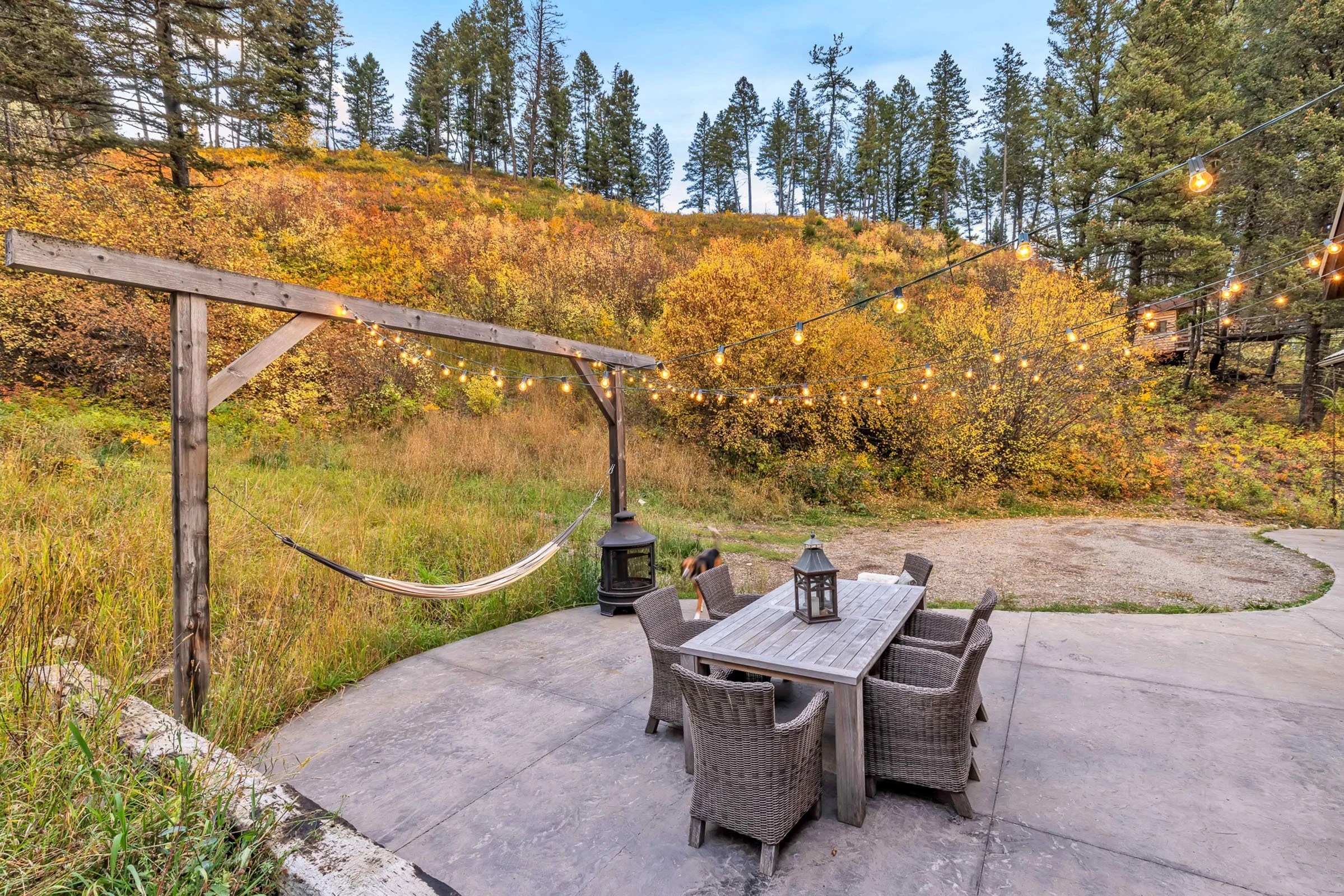 Web-141 Old Timber-012.jpg