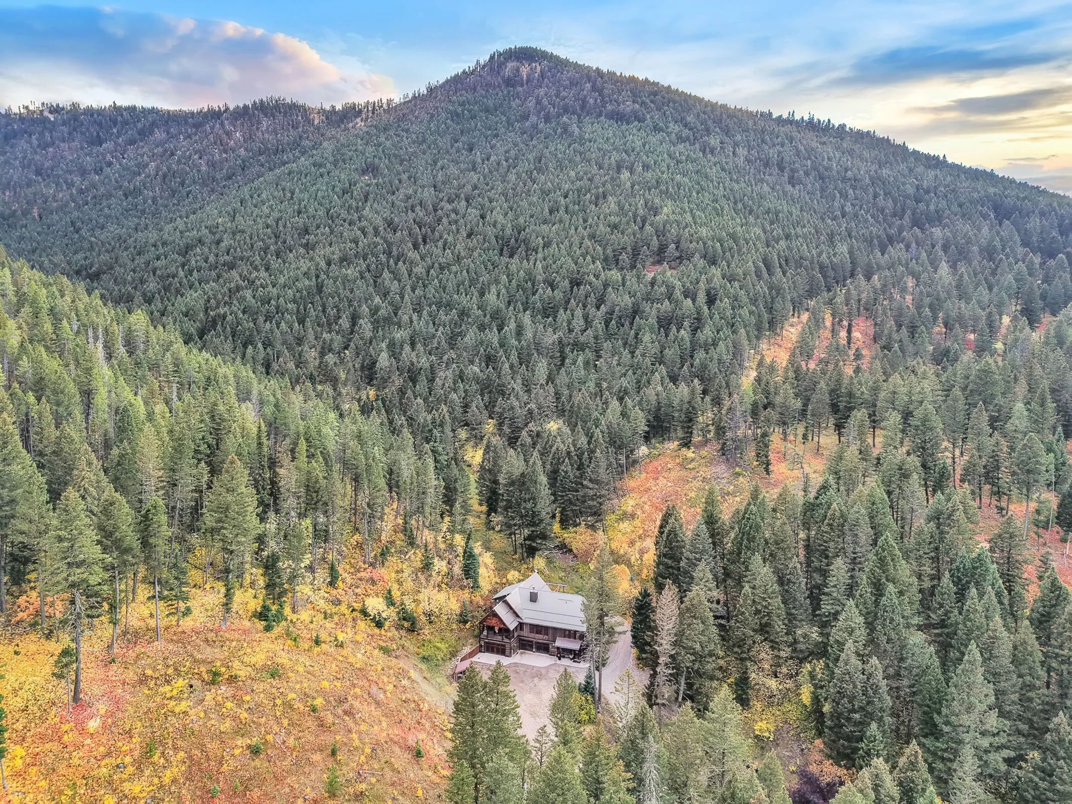 Web-141 Old Timber-027.jpg