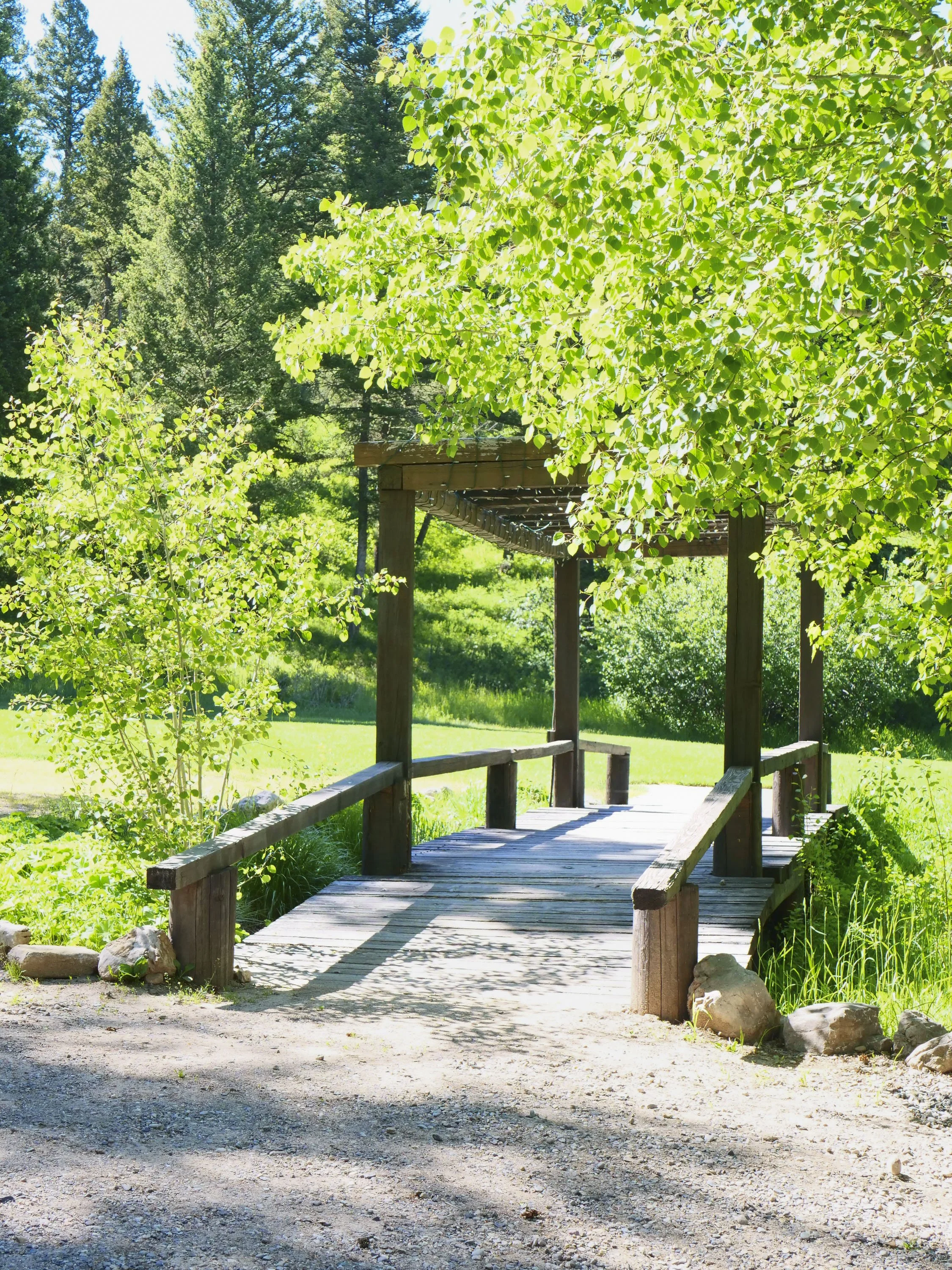 PJP10864bridge.jpg