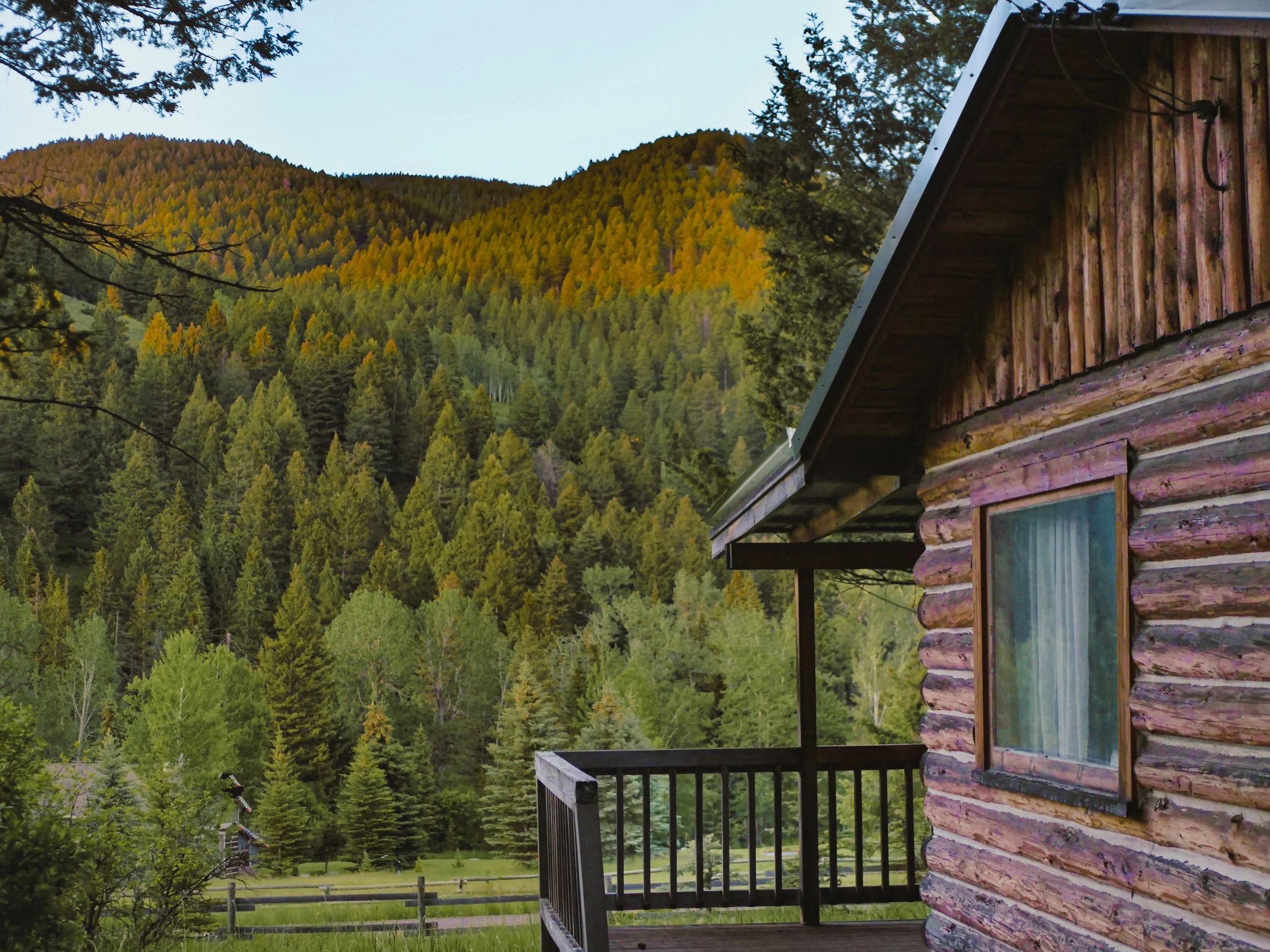 P1011901cabin.jpg