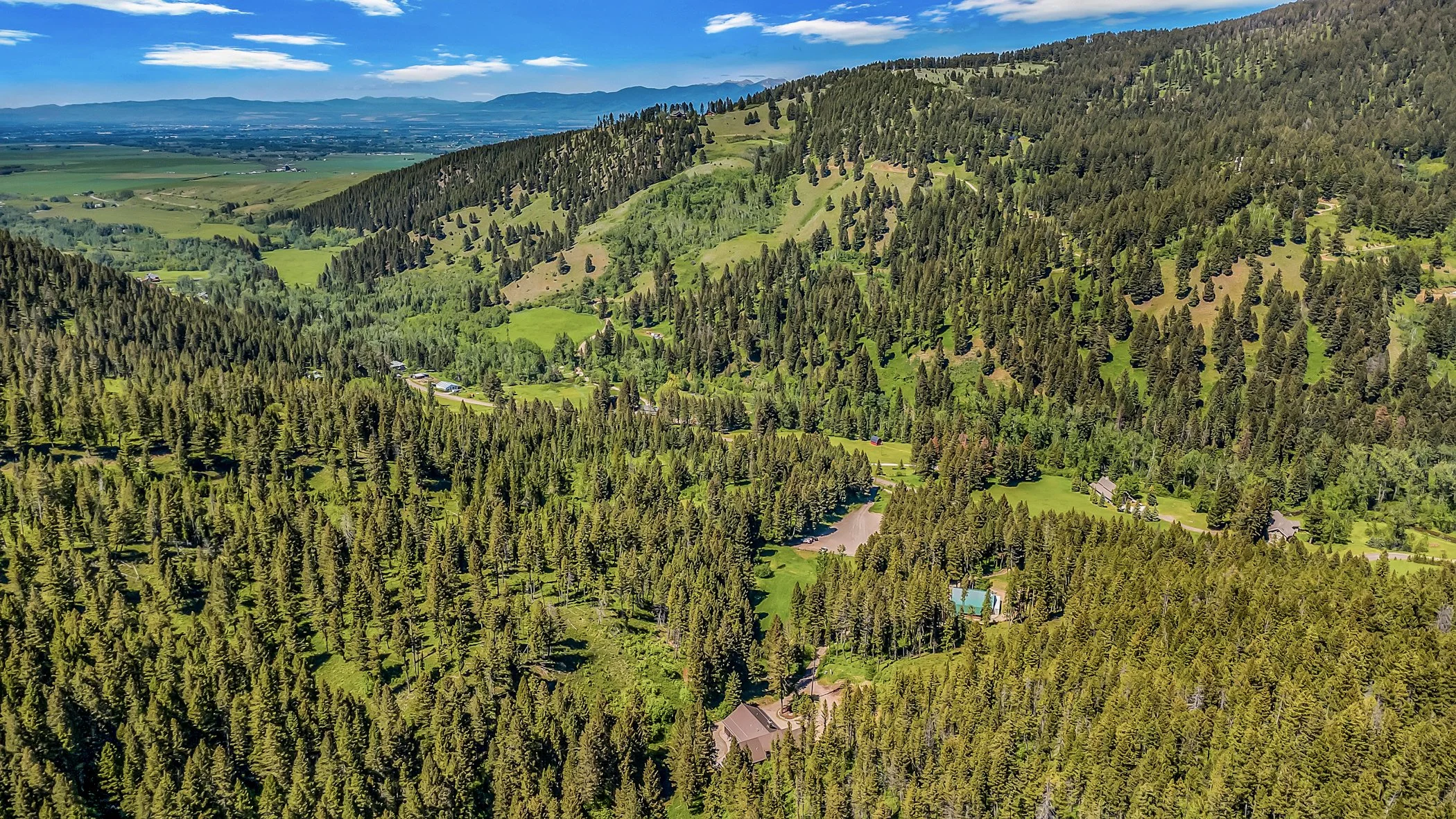 DJI_0081.jpg