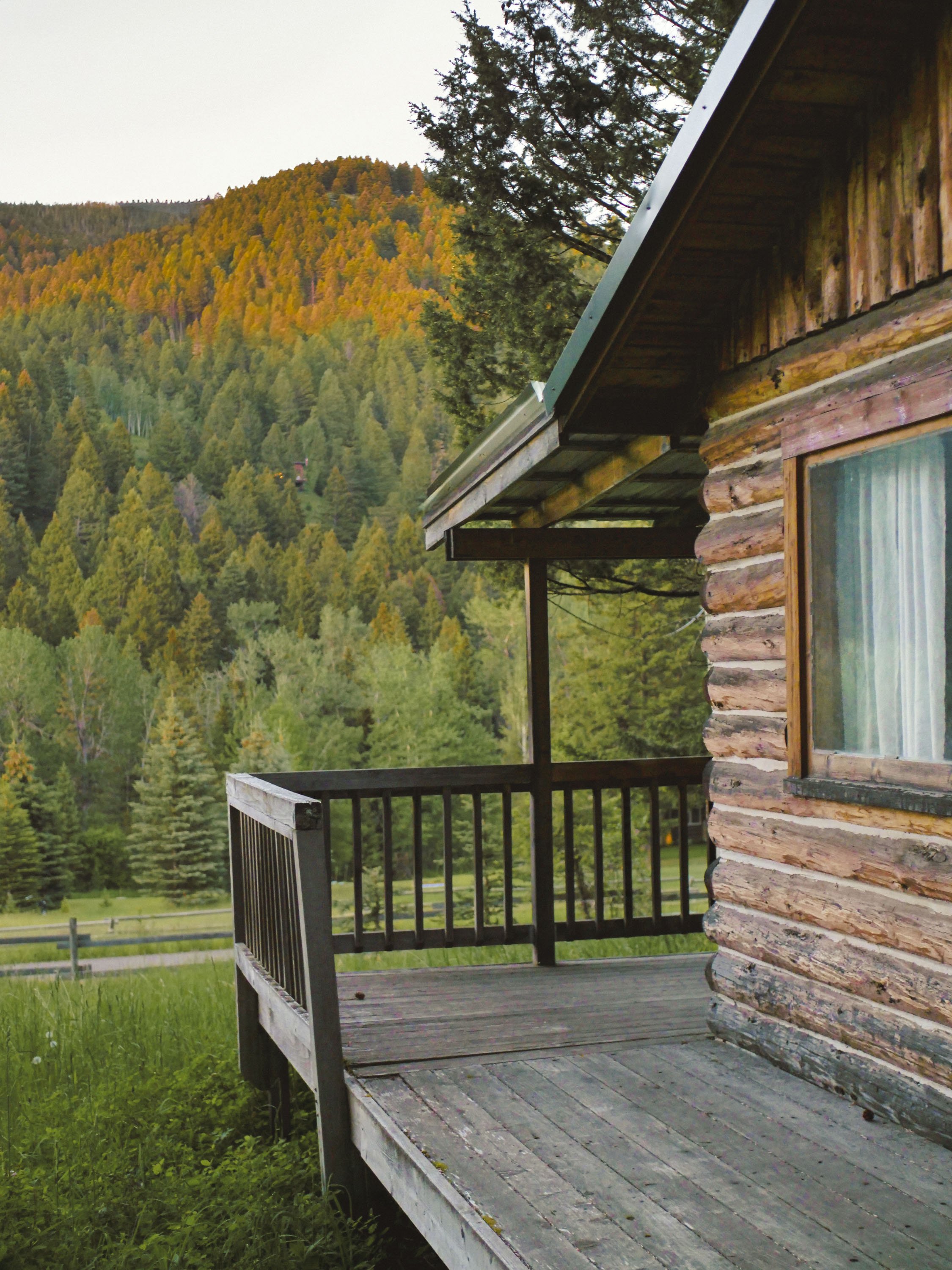 P1011898cabin.jpg