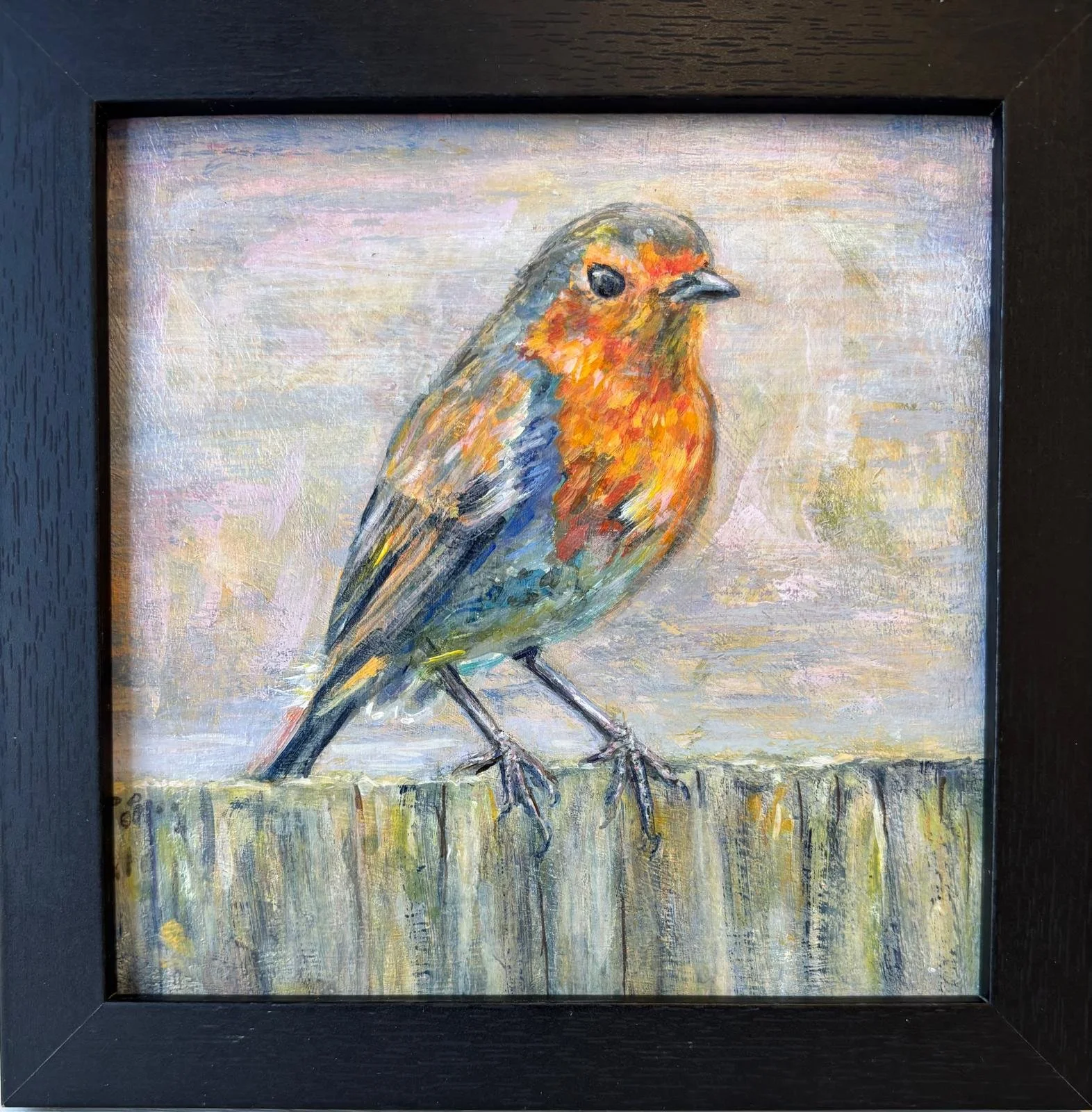 European Robin