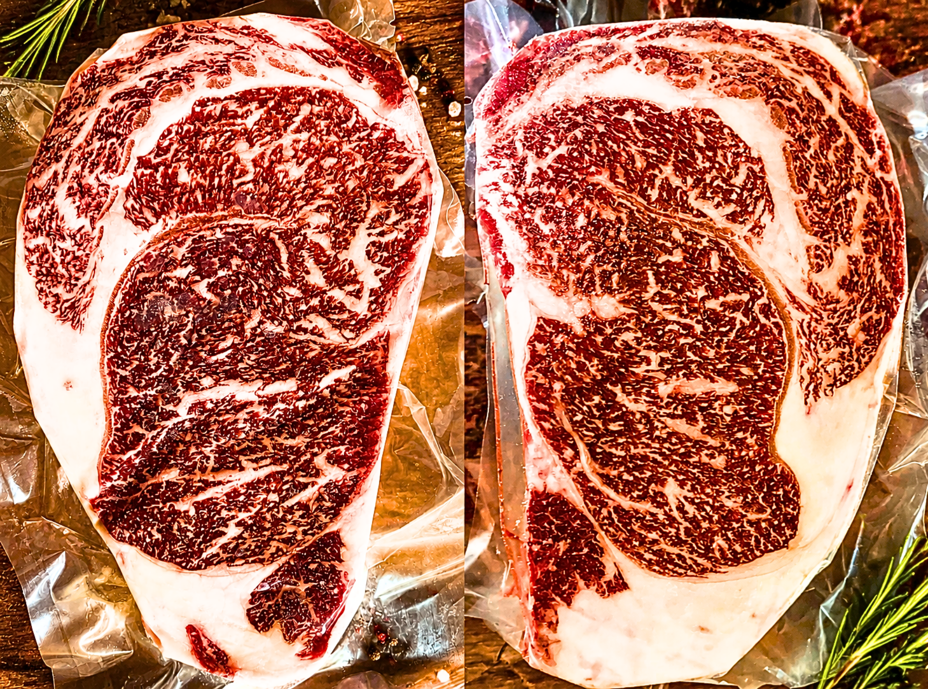 3CJ CATTLE CO. (31).png