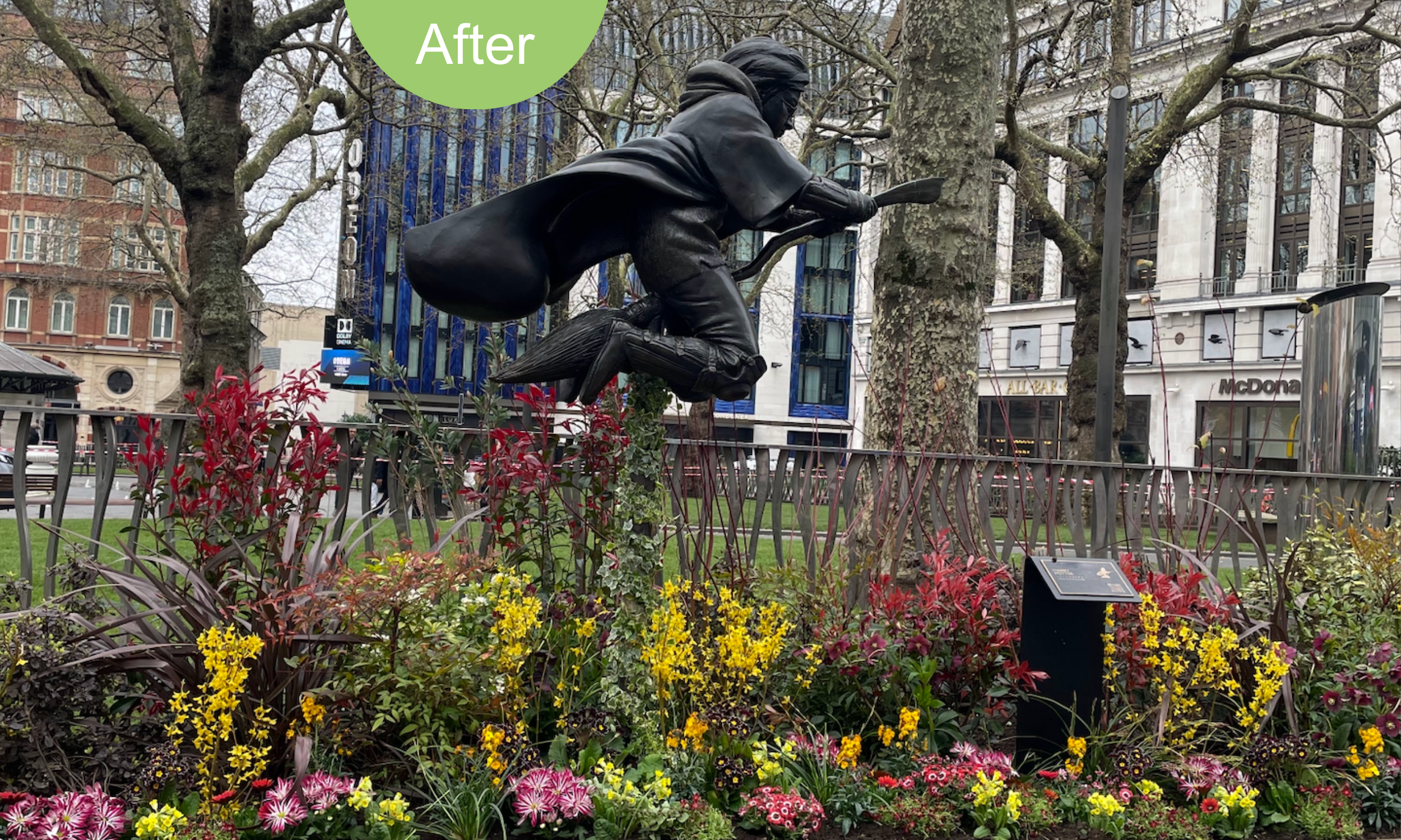 The promotional planting used the 'brand' colours