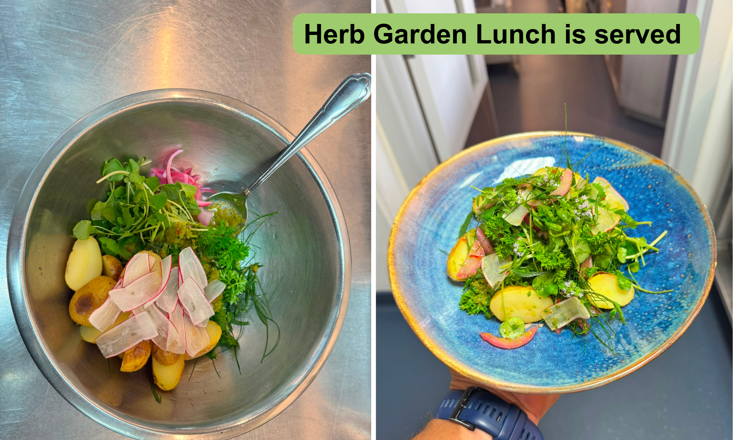 Added to the salad mix before serving in the restaurant. The chef no longer orders mint or thyme as it's all supplied by the herb garden.