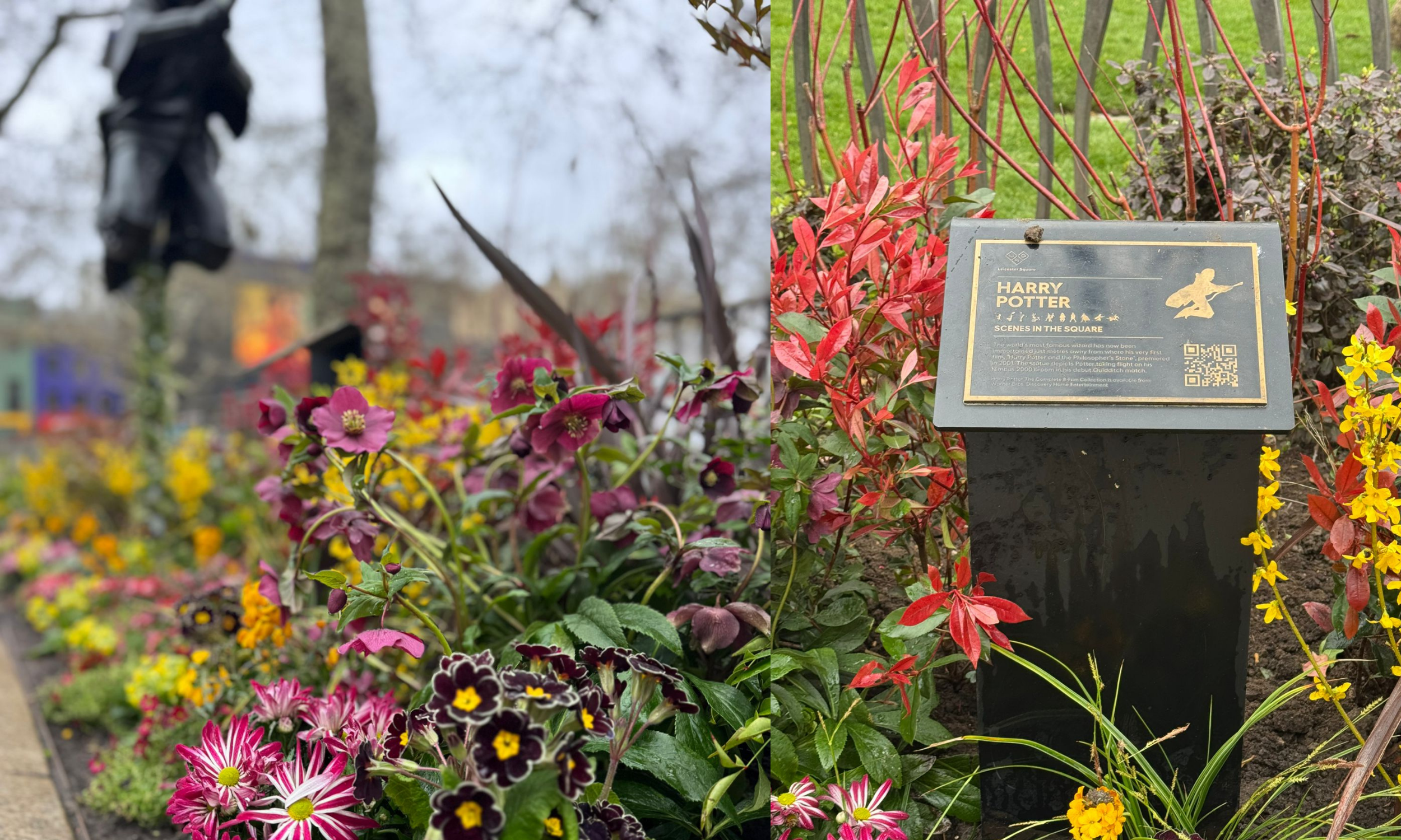 Harry Potter, Leicester Square