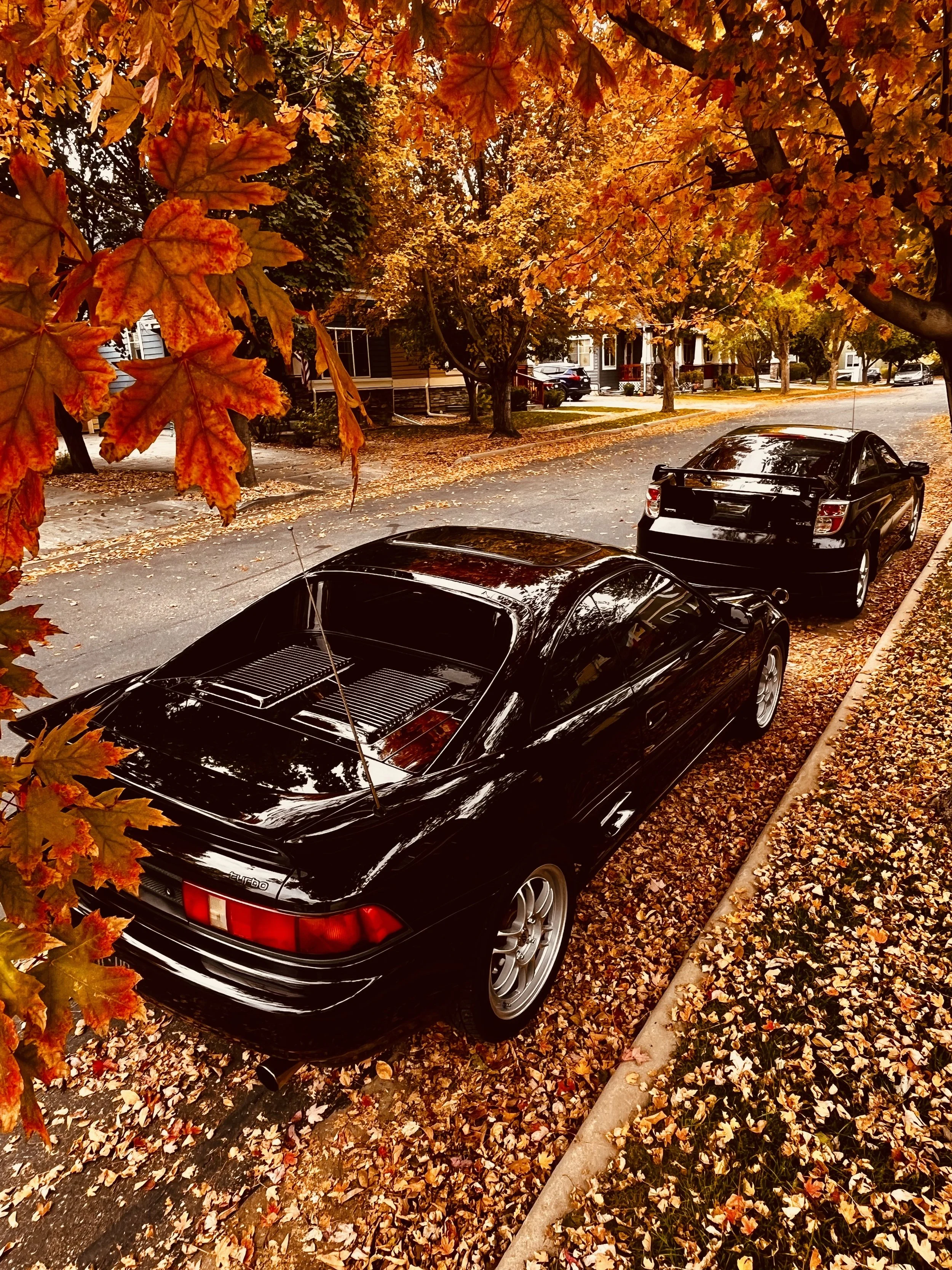 Black sports car parked on the side of a tree-lined street during fall, with orange and yellow leaves on the ground and remaining on the trees.